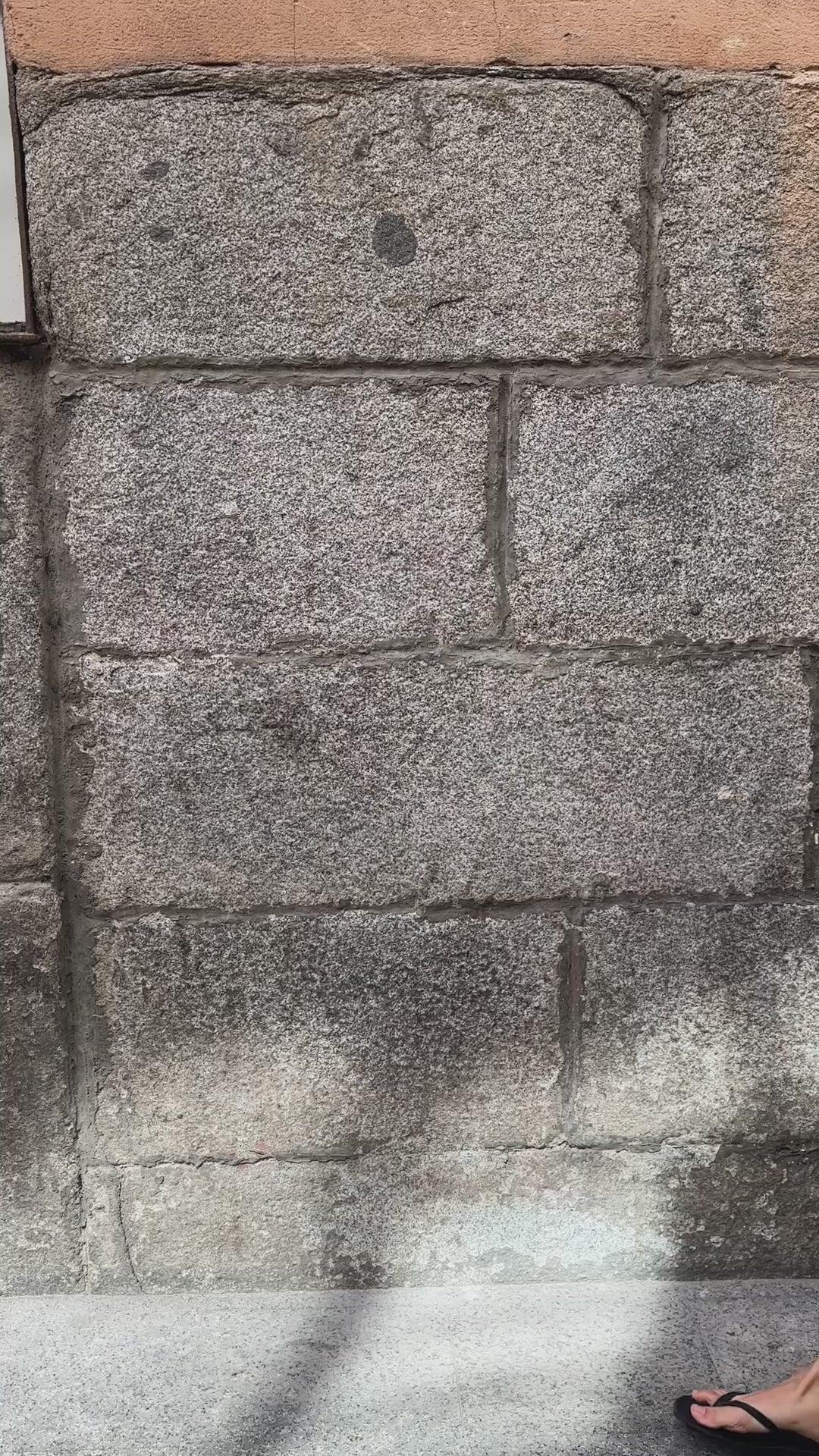 Luna Pleated Short In Flax Product Image