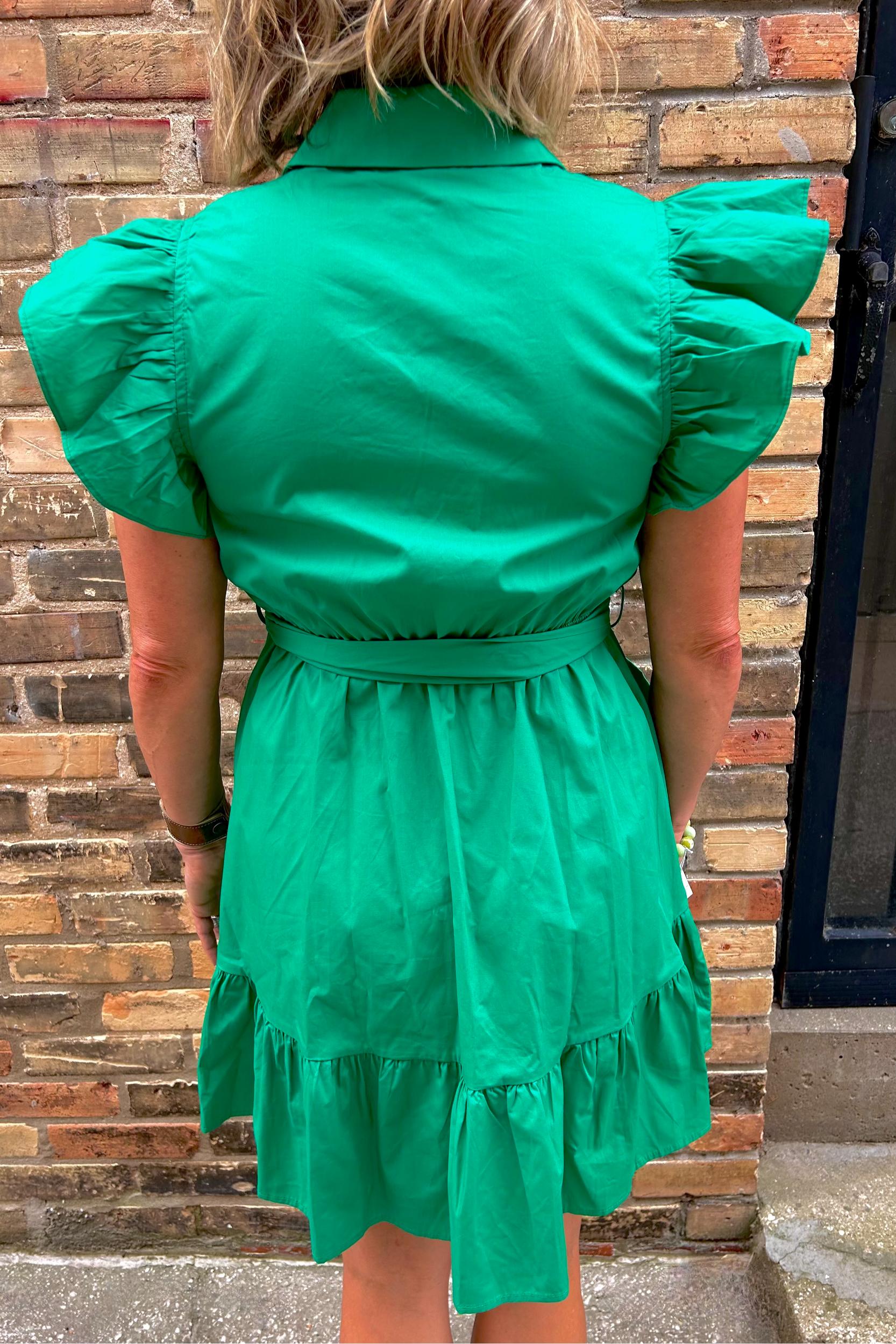 Button Down Belted Mini Dress Product Image