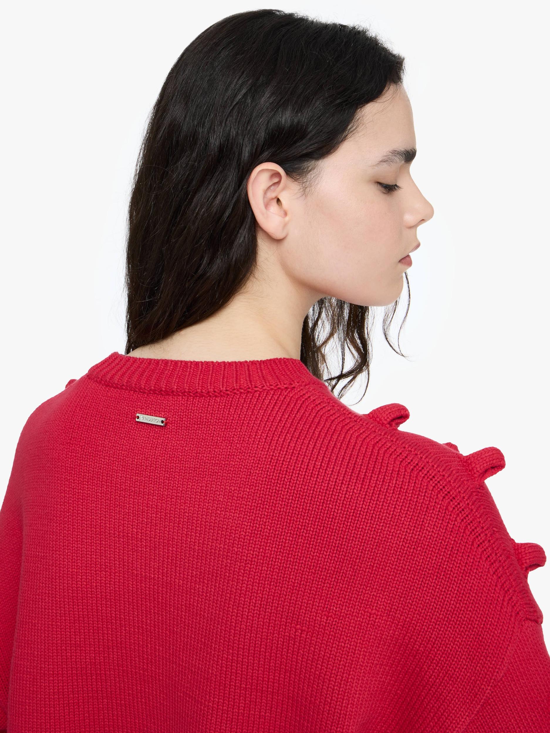 CROPPED LOOP JUMPER Product Image