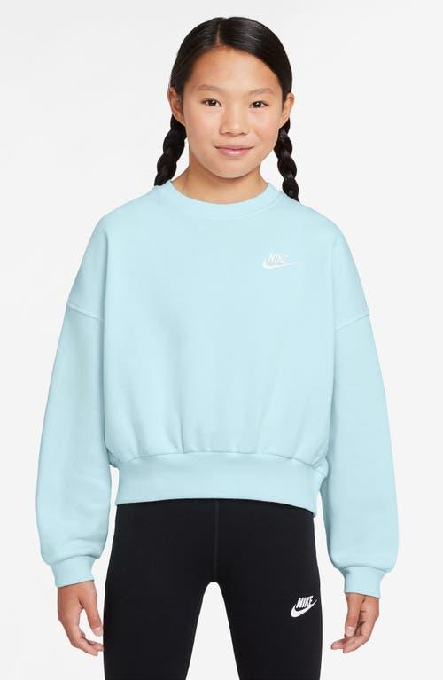 Nike Kids' Sportswear Club Fleece Crewneck Sweatshirt Product Image
