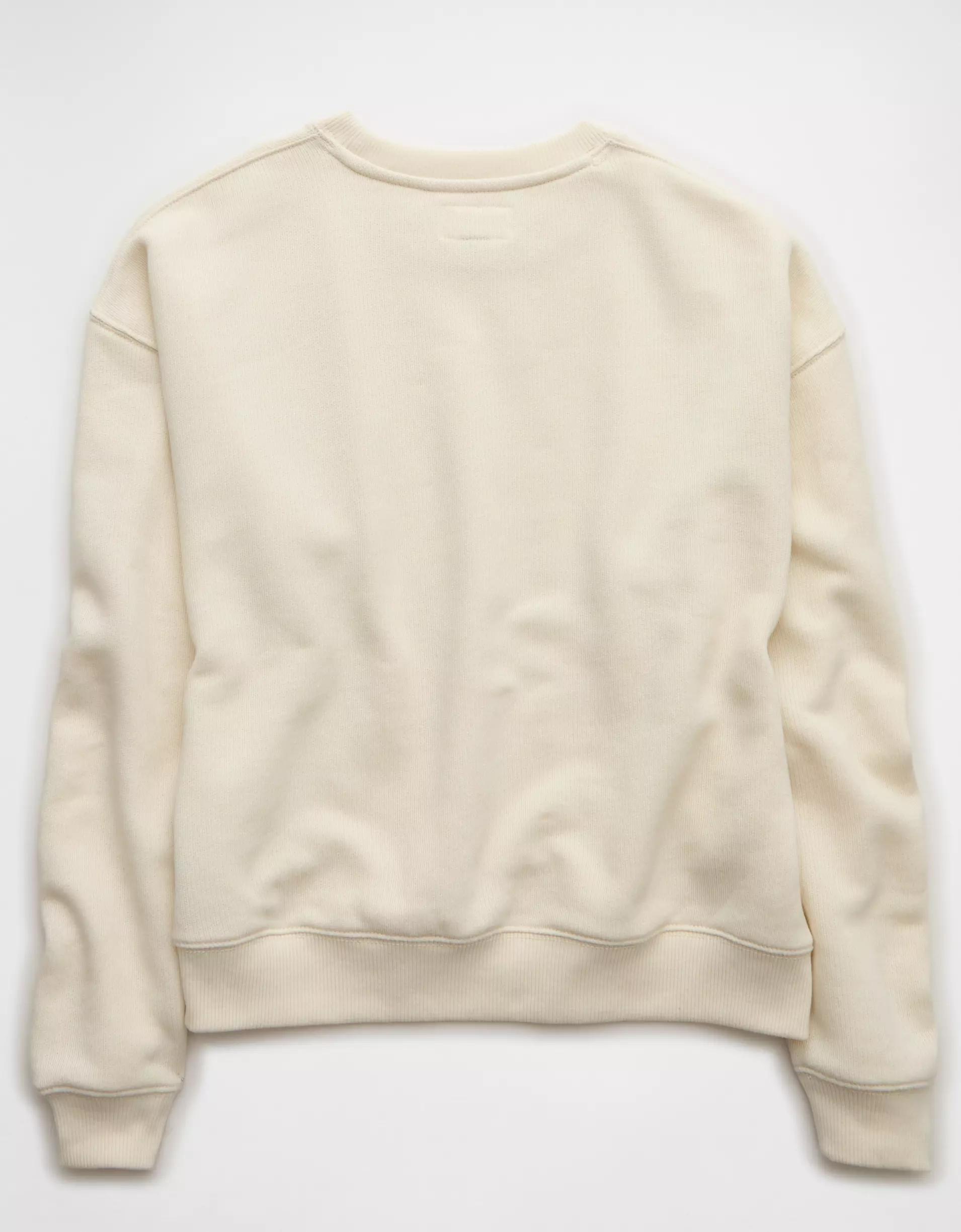 AE Relaxed Crew Neck Sweatshirt Product Image
