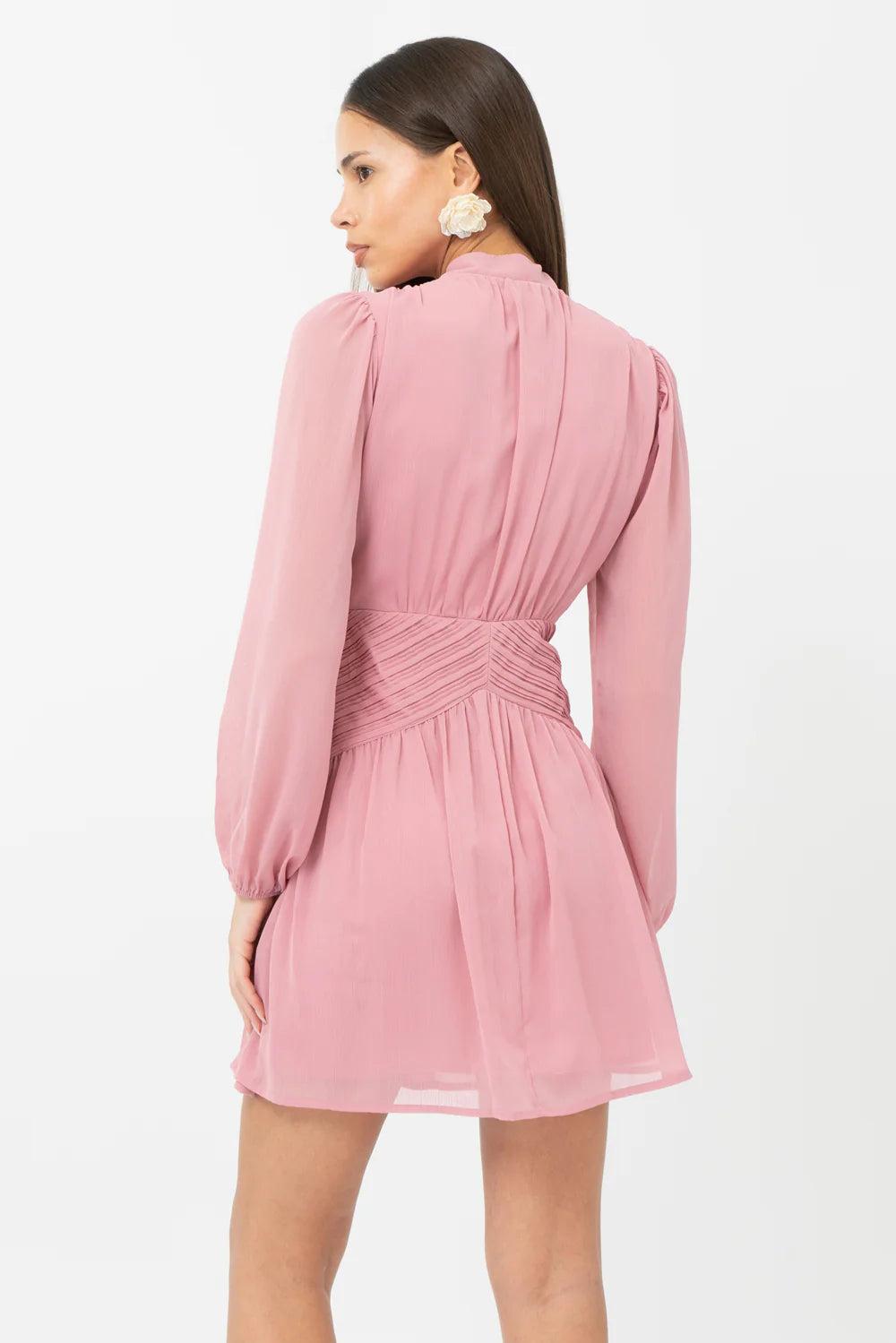 Betsy Neck Tie Mini Dress- Rose Product Image