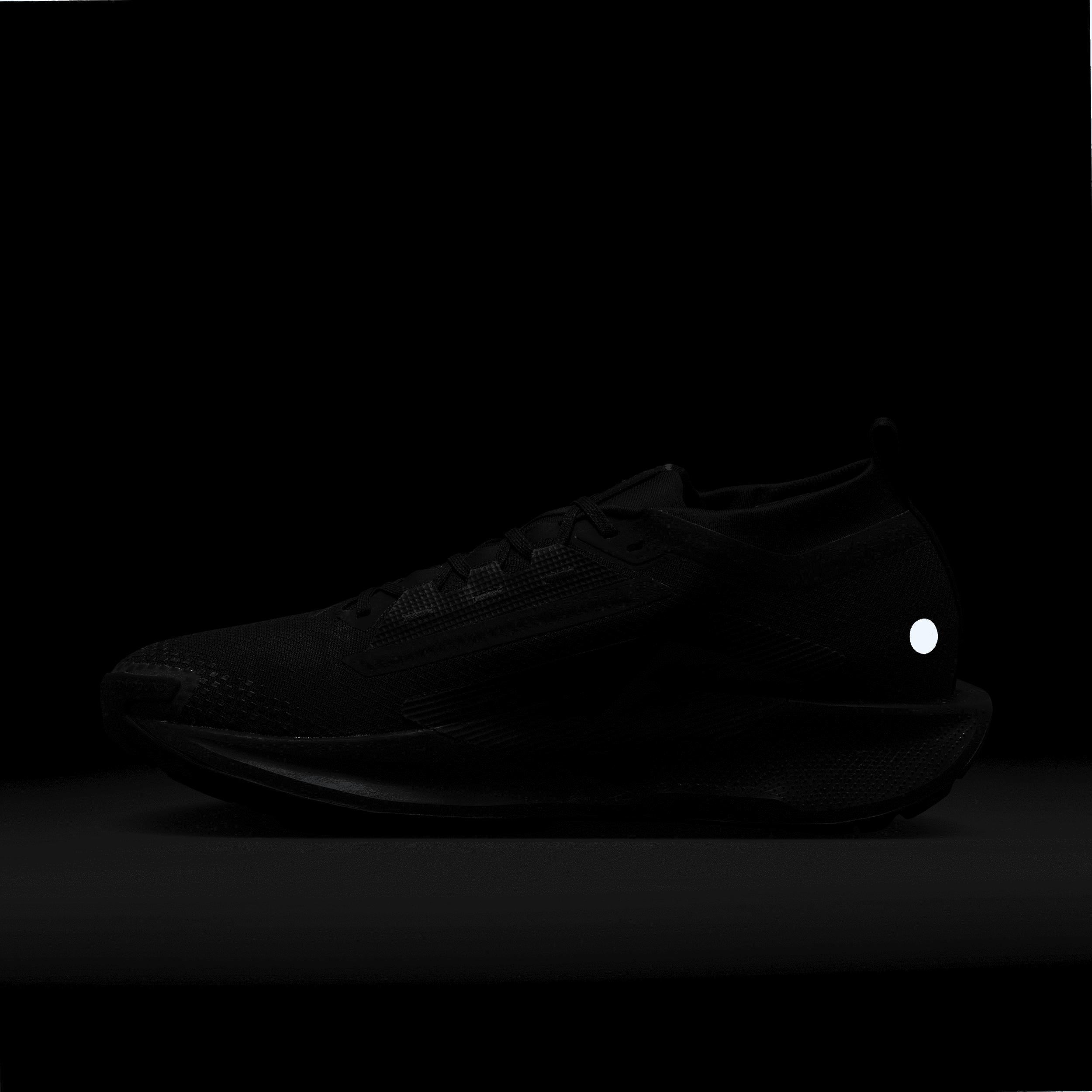 Nike Mens Pegasus Trail 5 GORE-TEX Waterproof Trail Running Shoes | FQ0908-002 Product Image