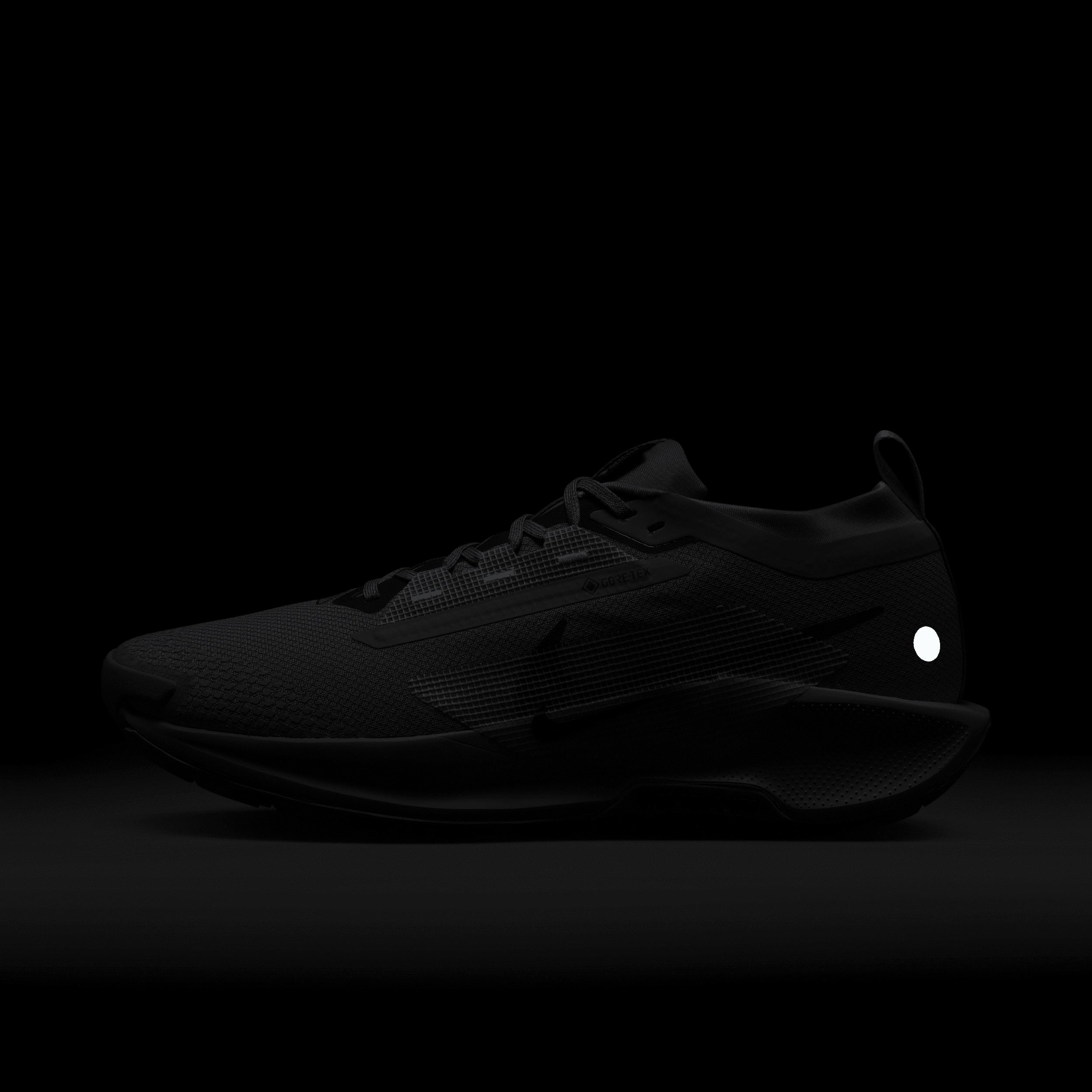 Nike Men's Pegasus Trail 5 GORE-TEX Waterproof Trail Running Shoes Product Image