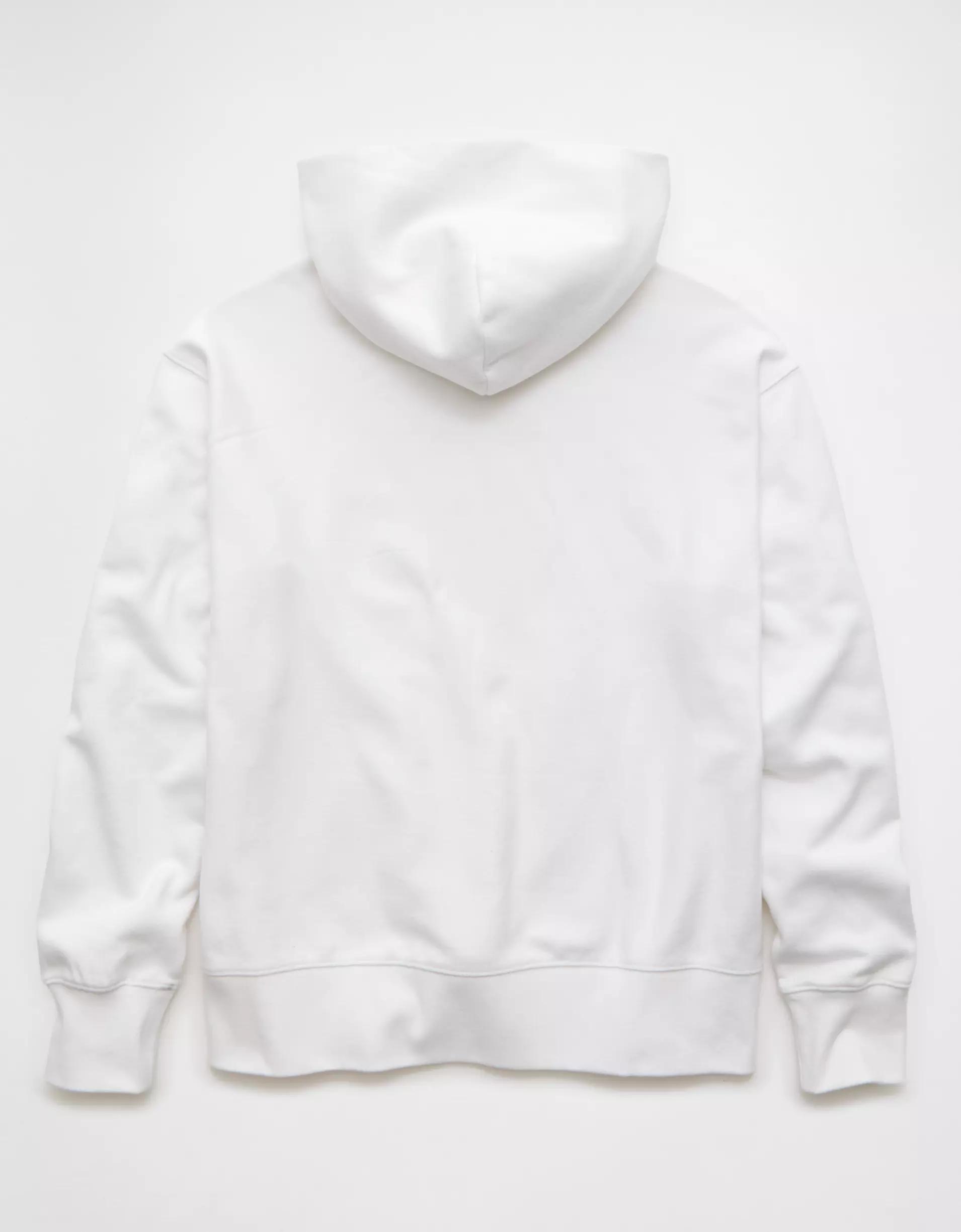 AE Laidback Luxe Heavyweight Hoodie Product Image