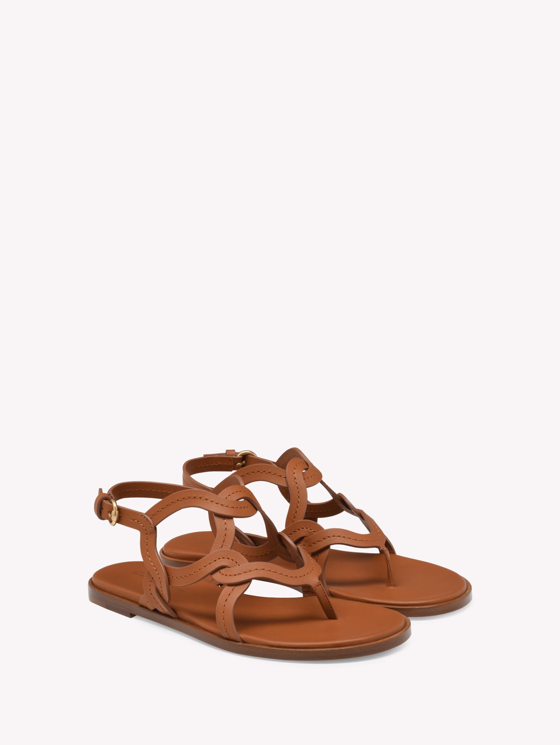 AMALFI THONG SANDAL Gianvito Rossi Product Image