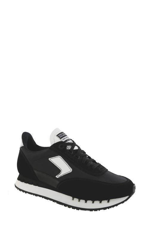 SAS 7eventy6ix Sneaker (Women) - Multiple Widths Available Product Image
