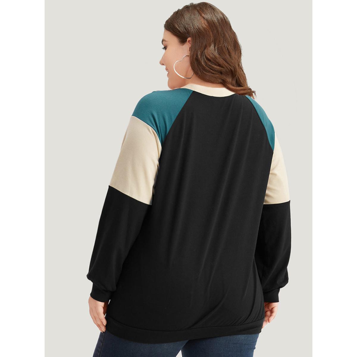 Plus Size Colorblock Contrast Raglan Sleeve Sweatshirt Women Black Casual Elastic cuffs Round Neck Dailywear Sweatshirts BloomChic 26/4X Product Image
