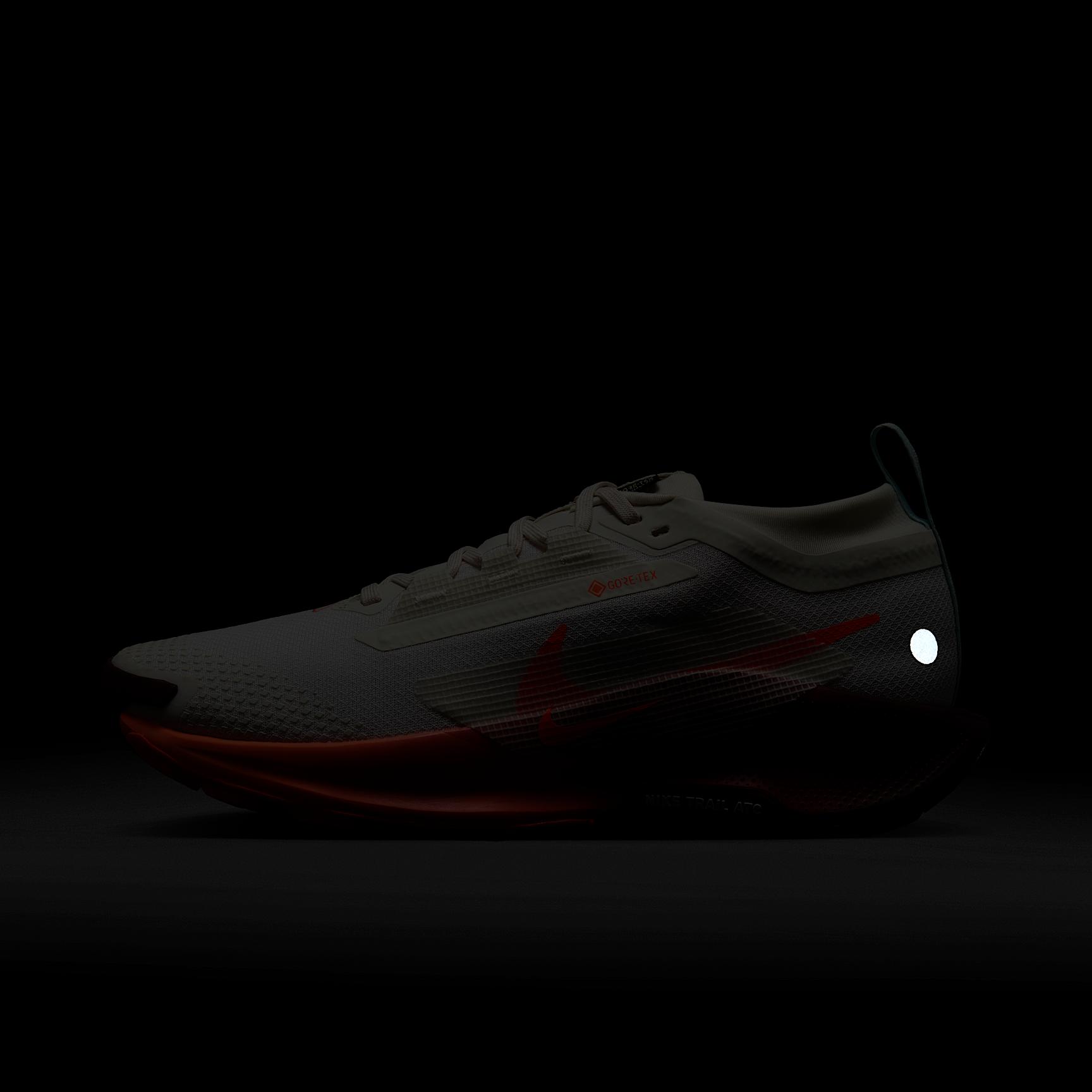 Nike Womens Pegasus Trail 5 GORE-TEX Waterproof Trail Running Shoes | FQ0912-104 Product Image