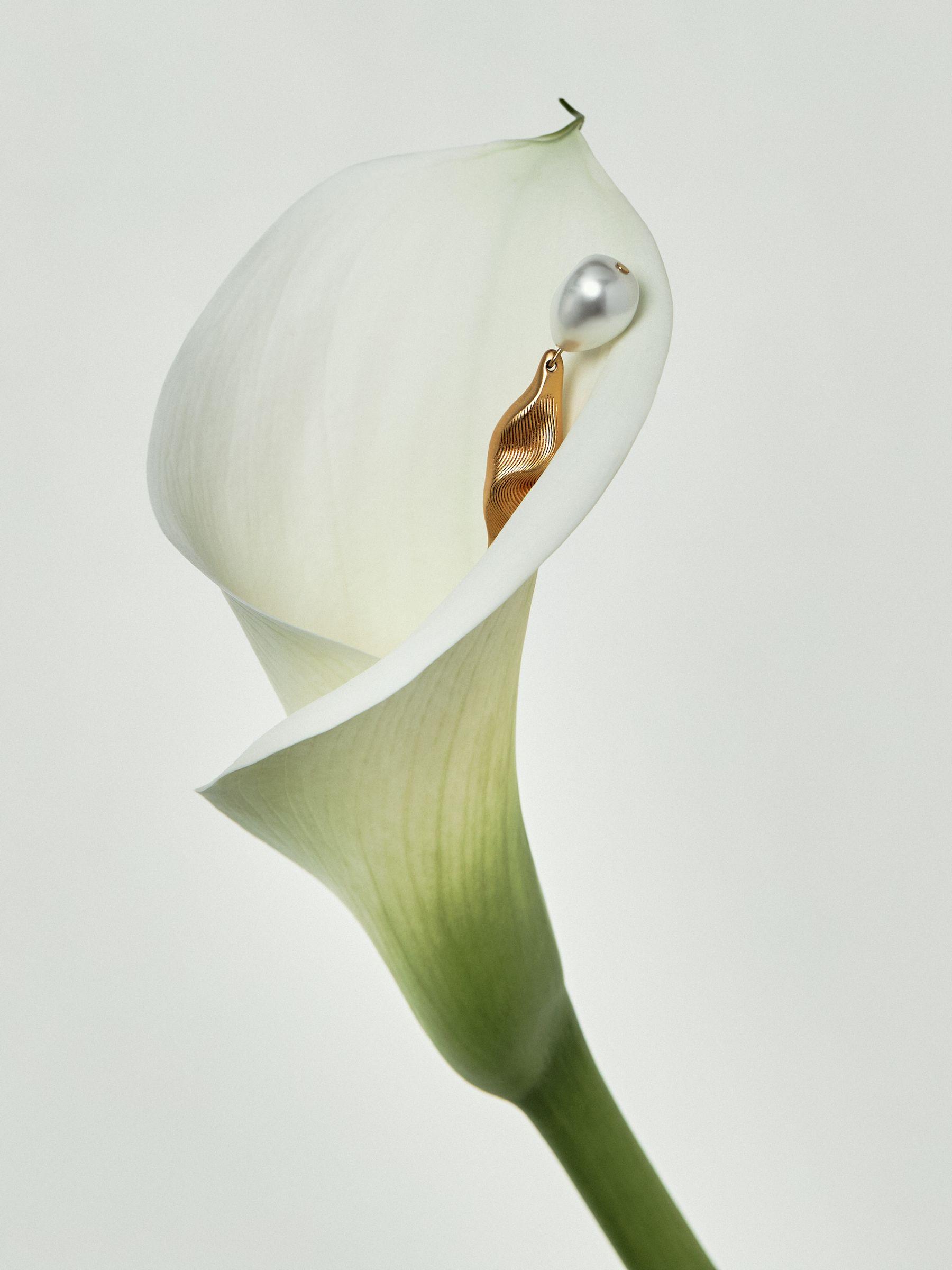 Tone Necklace in Gold Product Image