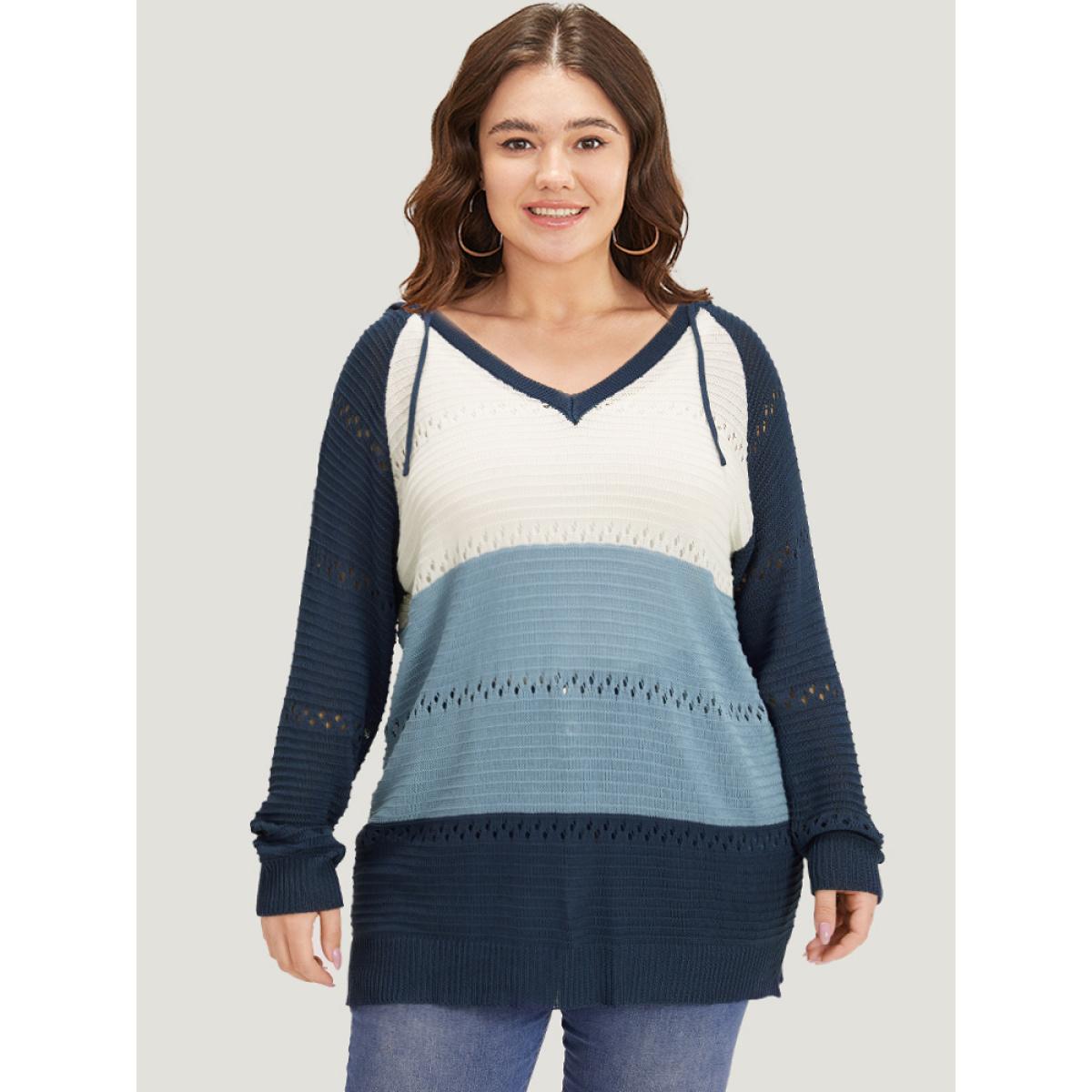 Plus Size Colorblock Hooded Raglan Sleeve Eyelet Pullover Multicolor Women Casual Loose Long Sleeve Dailywear Pullovers BloomChic 14-16/1X Product Image