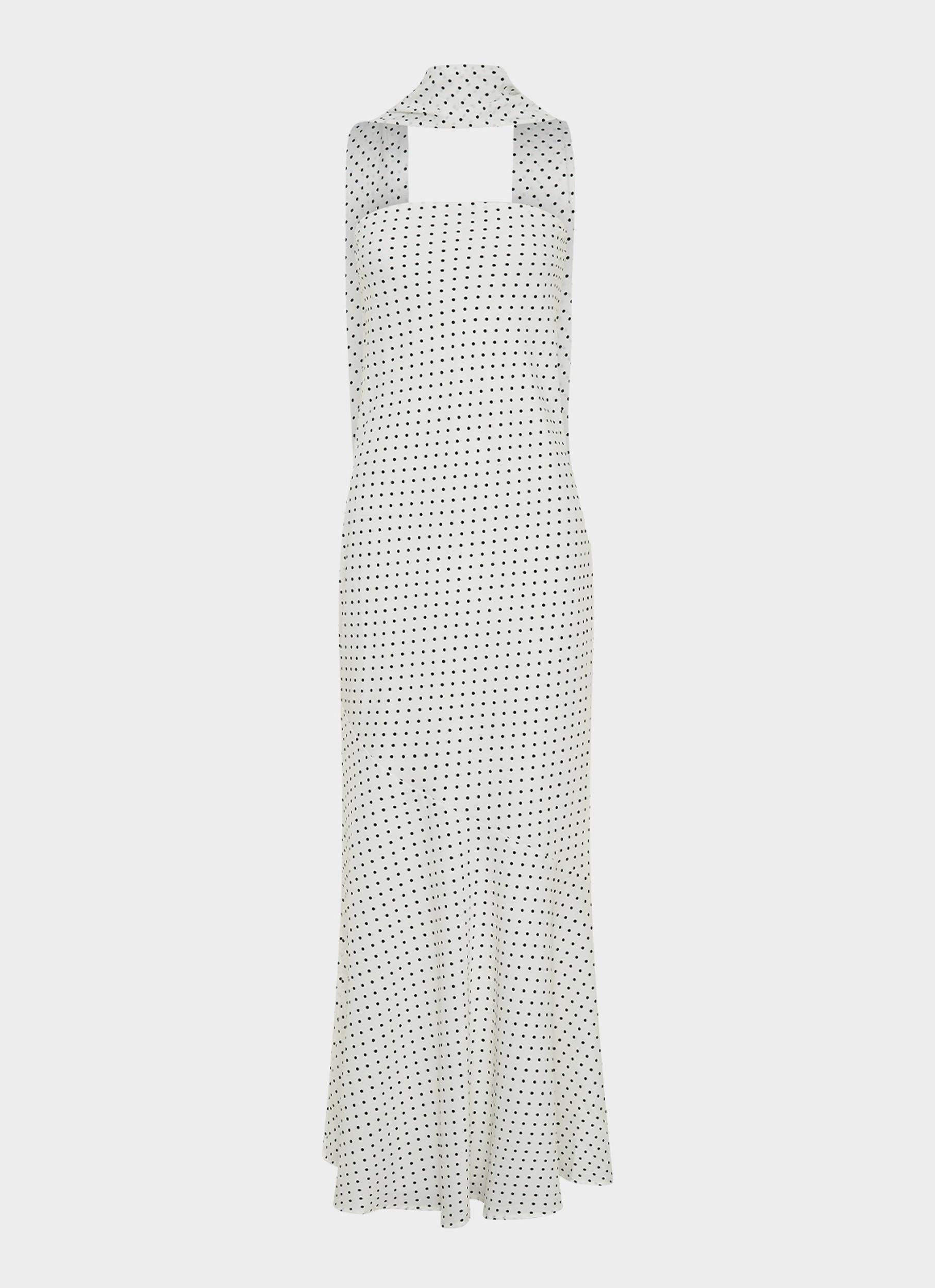 Under The Pagoda Maxi Dress - White Polkadot Product Image