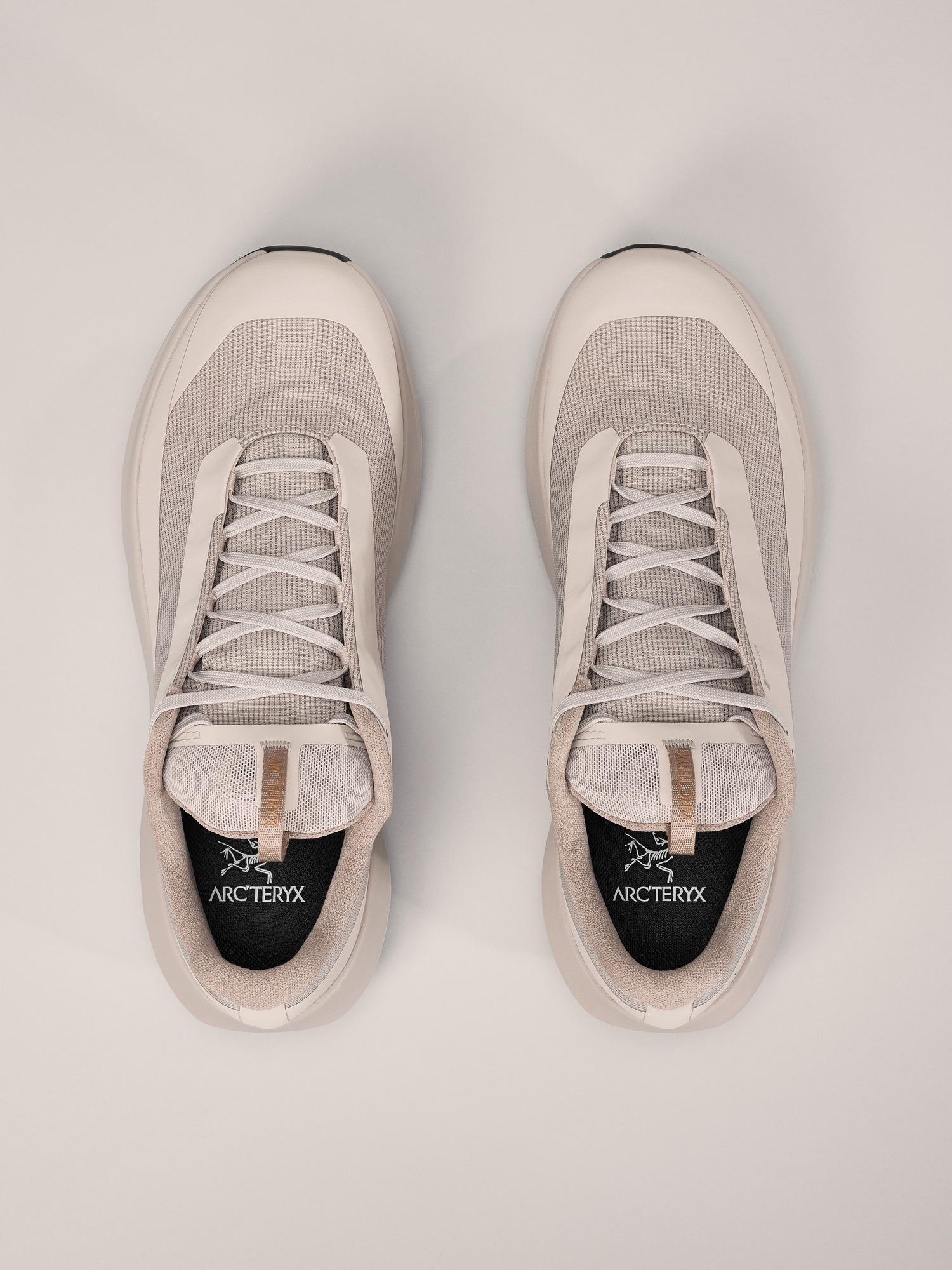 Norvan LD 4 GTX Shoe Men's Product Image