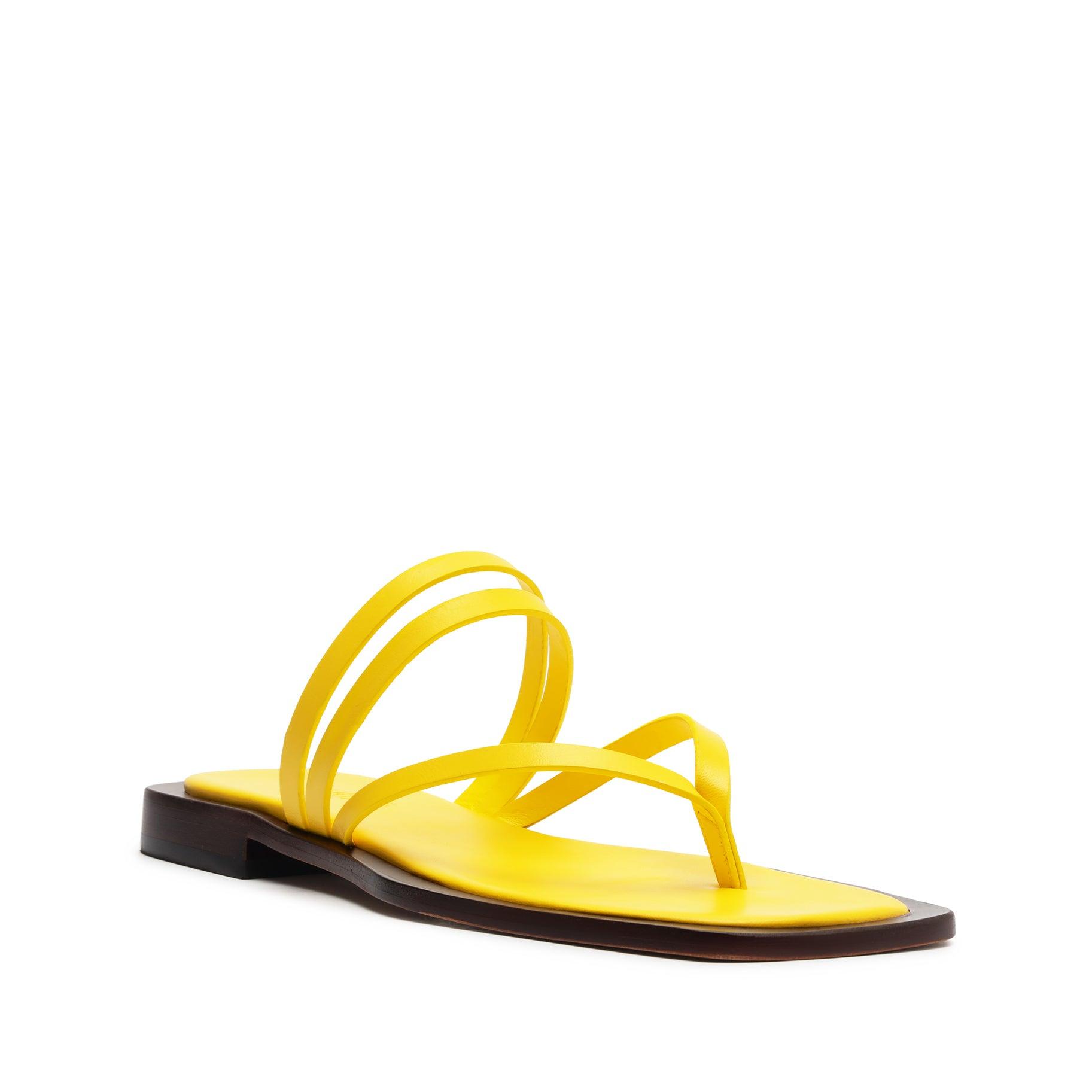 Rania Leather Flat Sandal Female Product Image