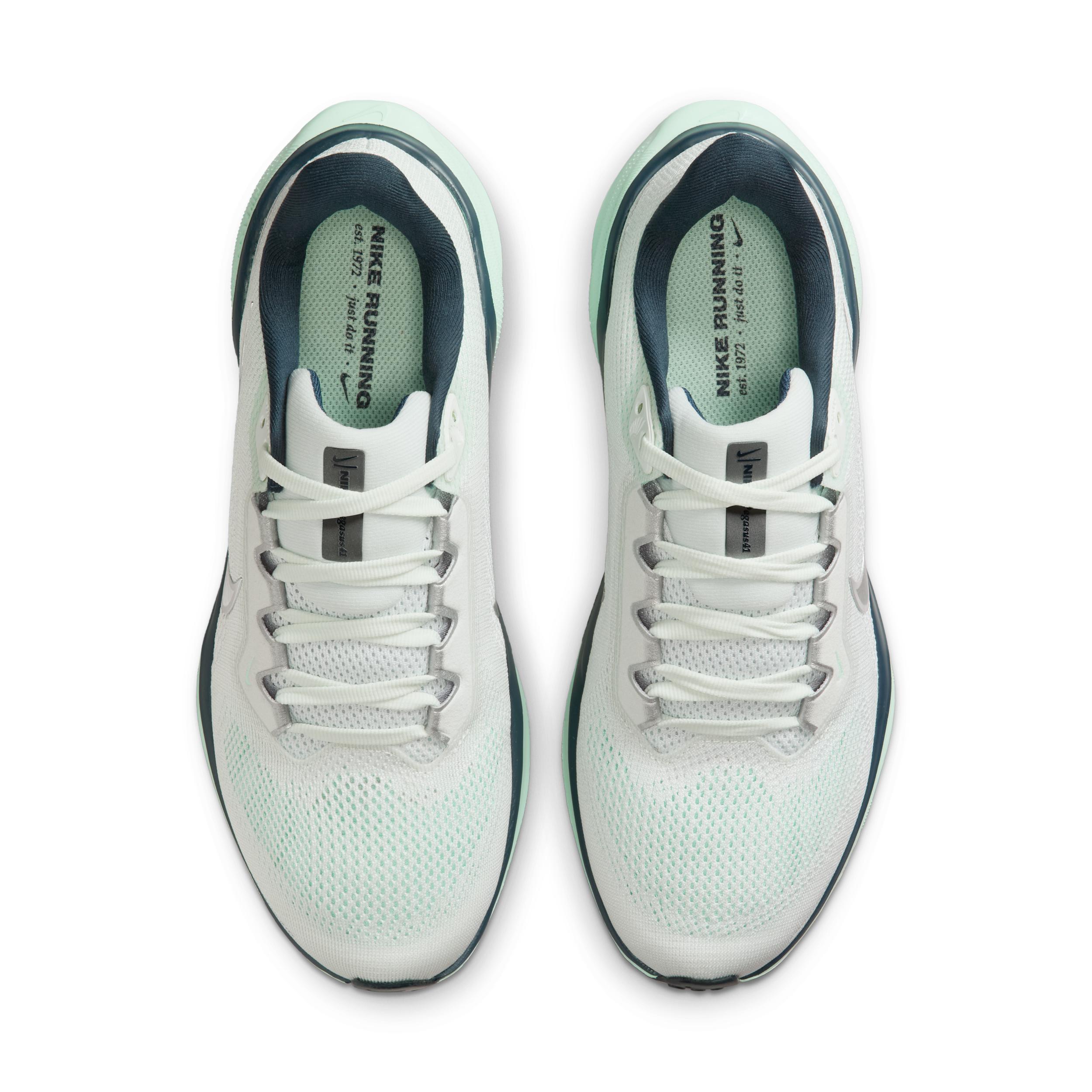 Nike Womens Pegasus 41 Road Running Shoes | FD2723-405 Product Image