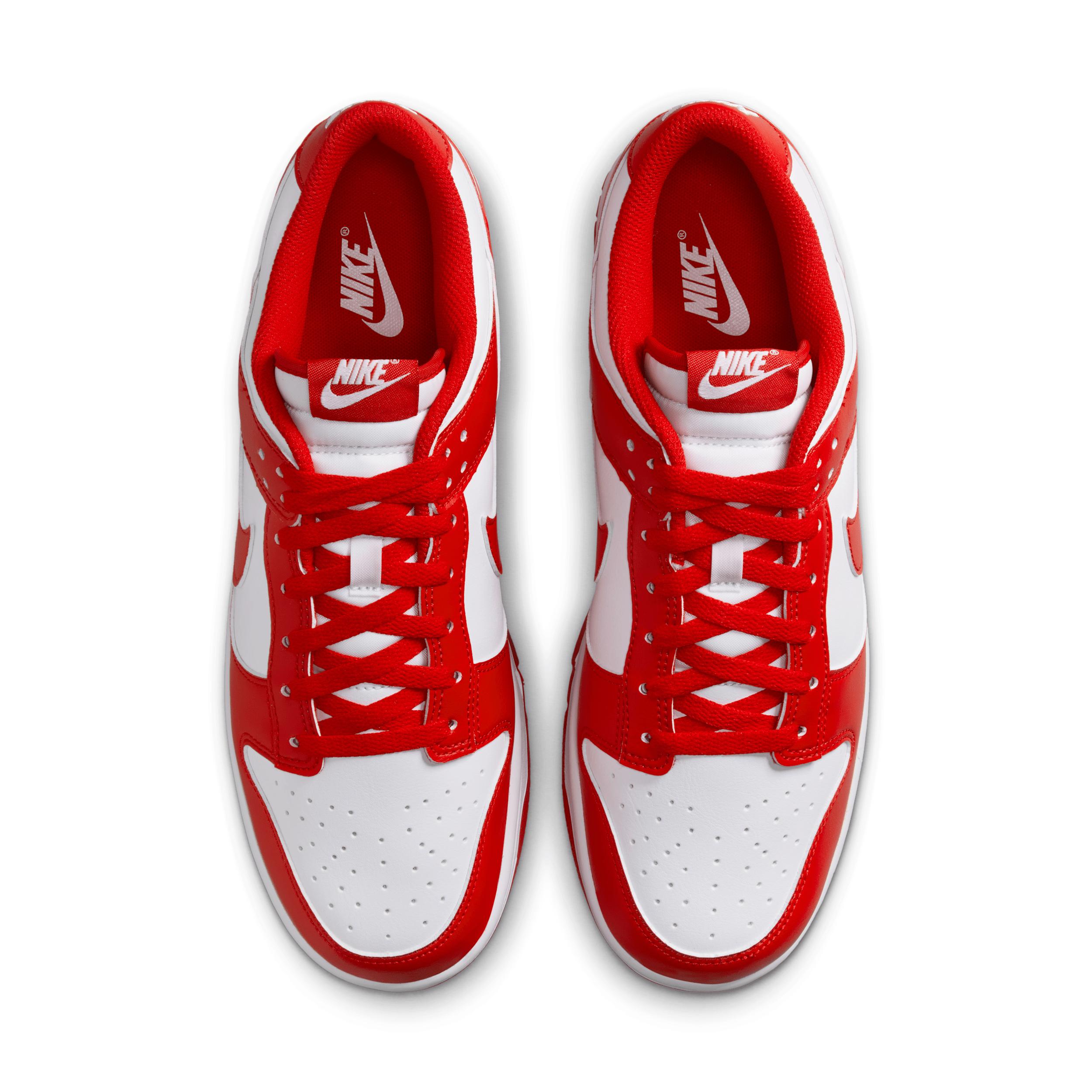 Nike Mens Dunk Low Retro Shoes | HF5441-104 Product Image