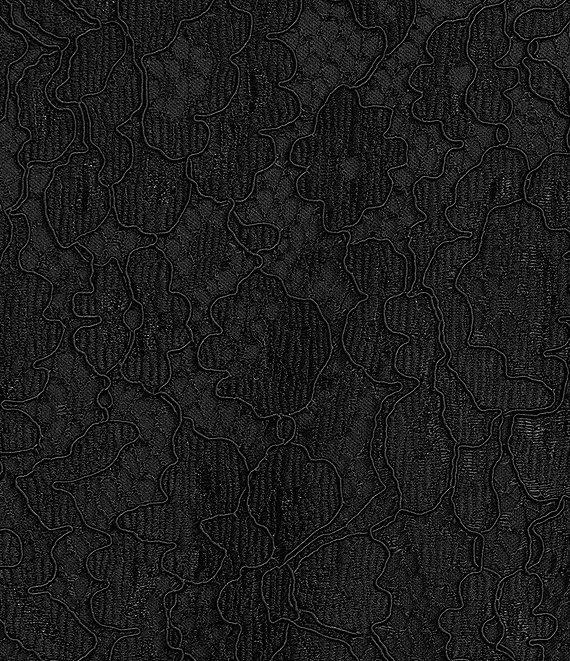 Caroline Rose Plus Size Flora Lace Scoop Neck Sleeveless A-Line Dress Product Image