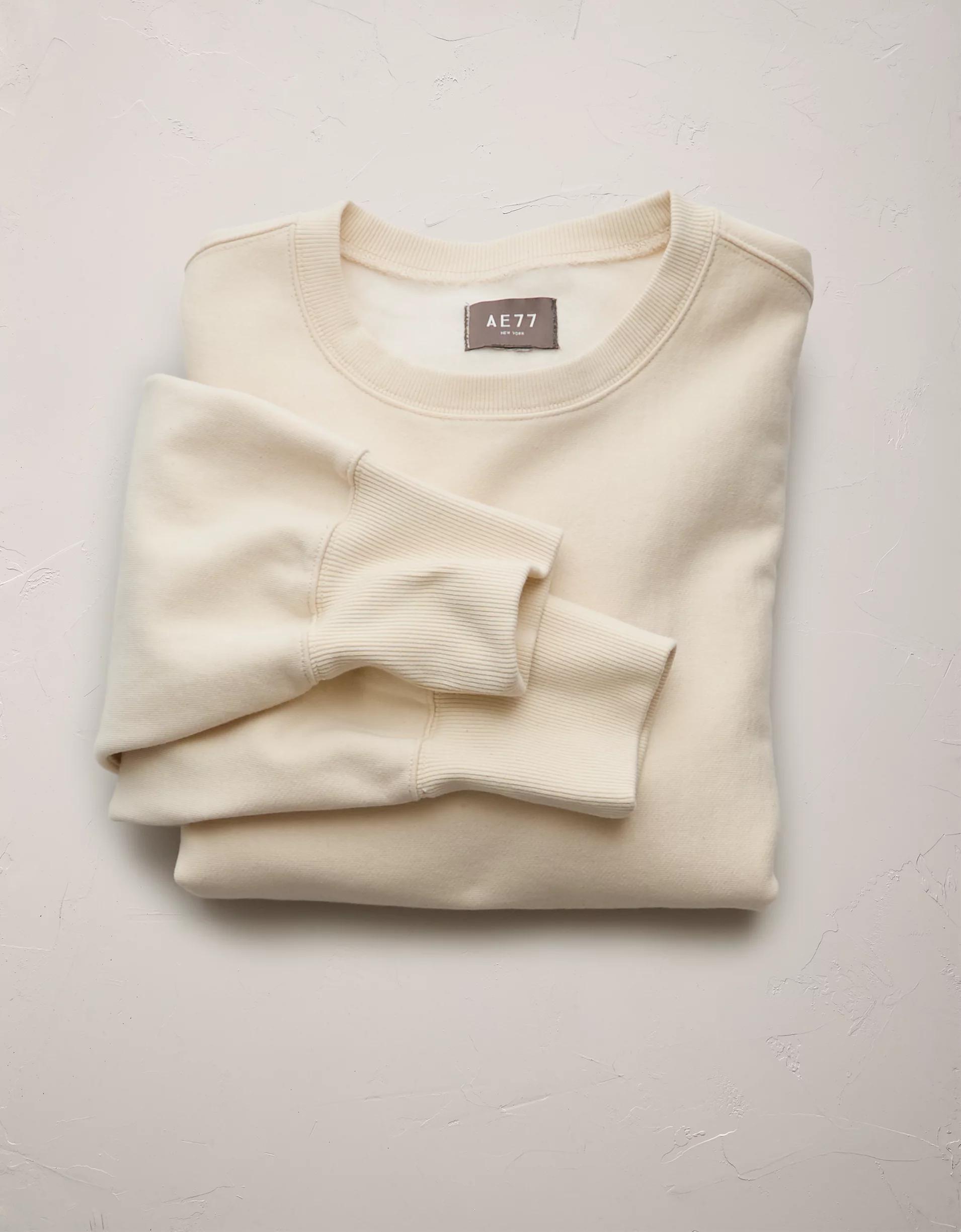 AE77 Premium Fleece Crew Neck Sweatshirt Product Image