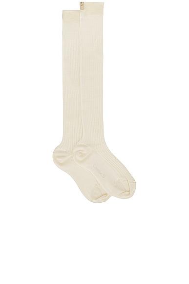 The Knee High Sock Product Image