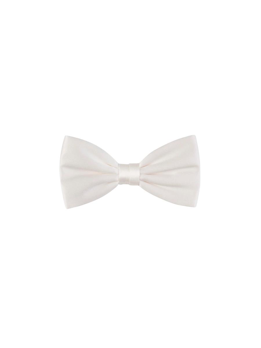Mens Silk Bow-Tie Product Image