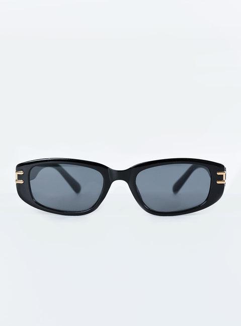 Brunz Sunglasses Black Product Image