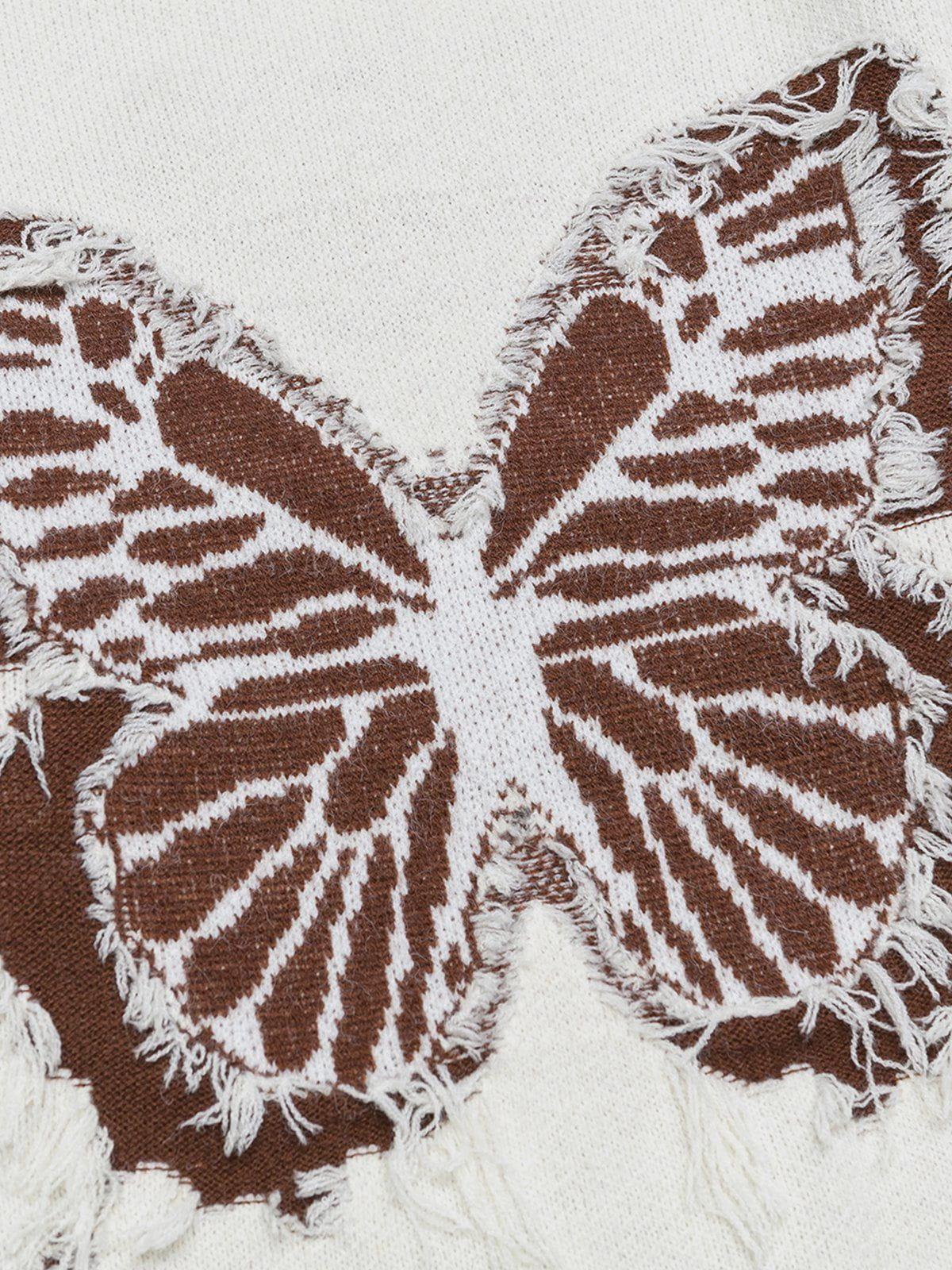 Aelfric Eden Fringe Distressed Butterfly Sweater Product Image