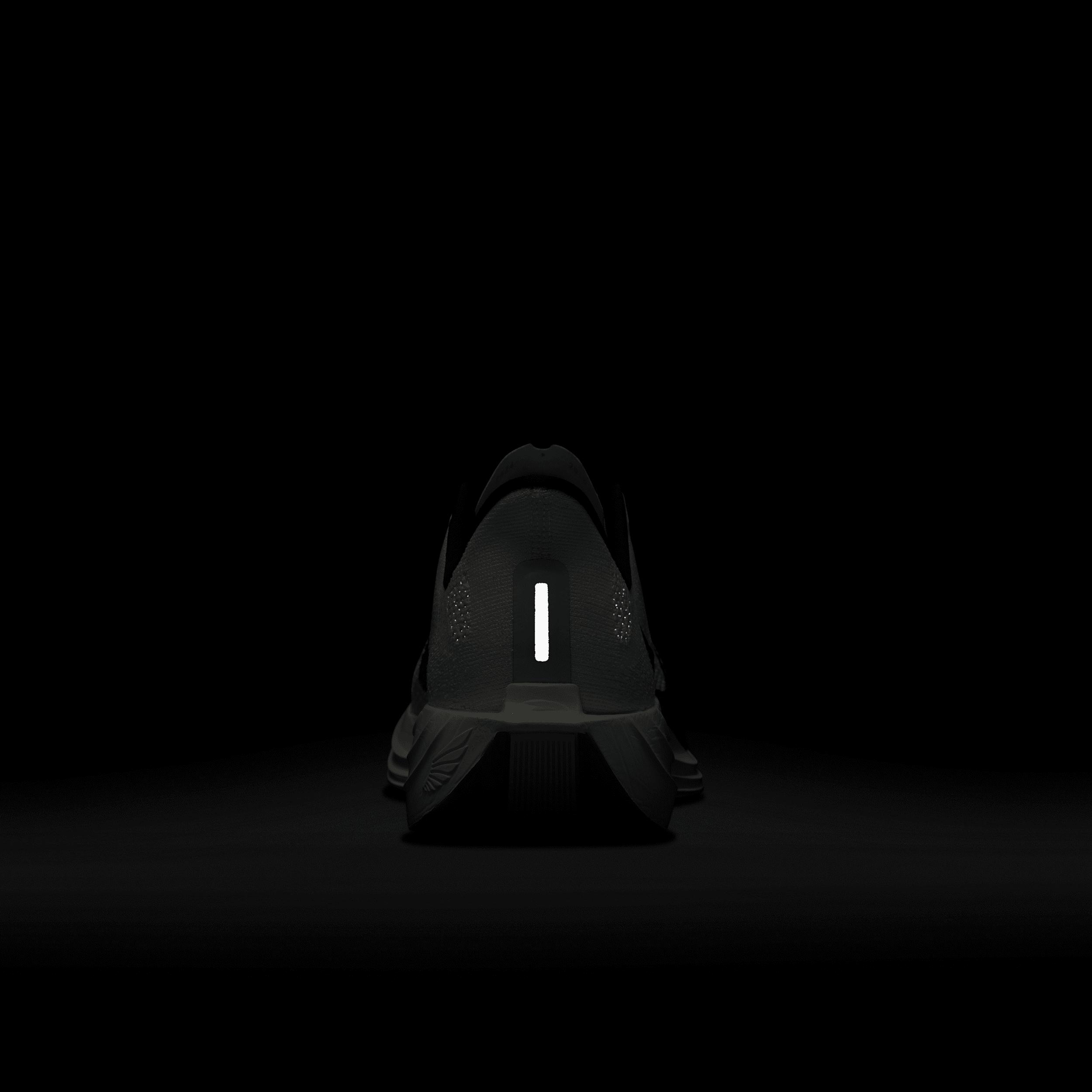 Nike Men's Pegasus Plus Road Running Shoes Product Image