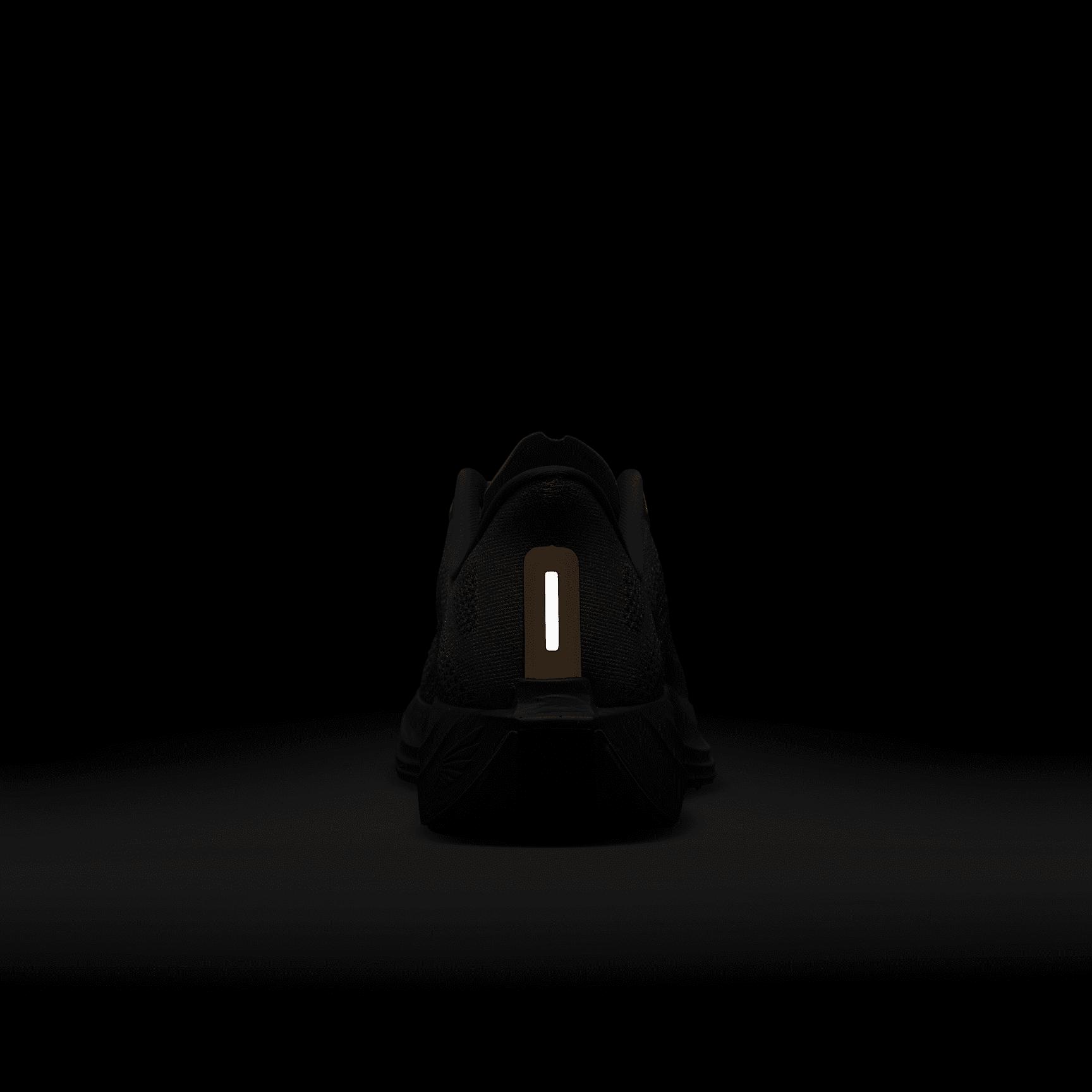 Nike Pegasus Plus Men's Road Running Shoes Product Image