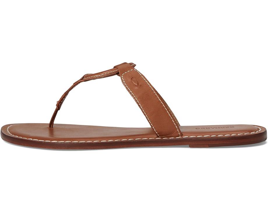 Women's Bernardo Matrix 2 Product Image