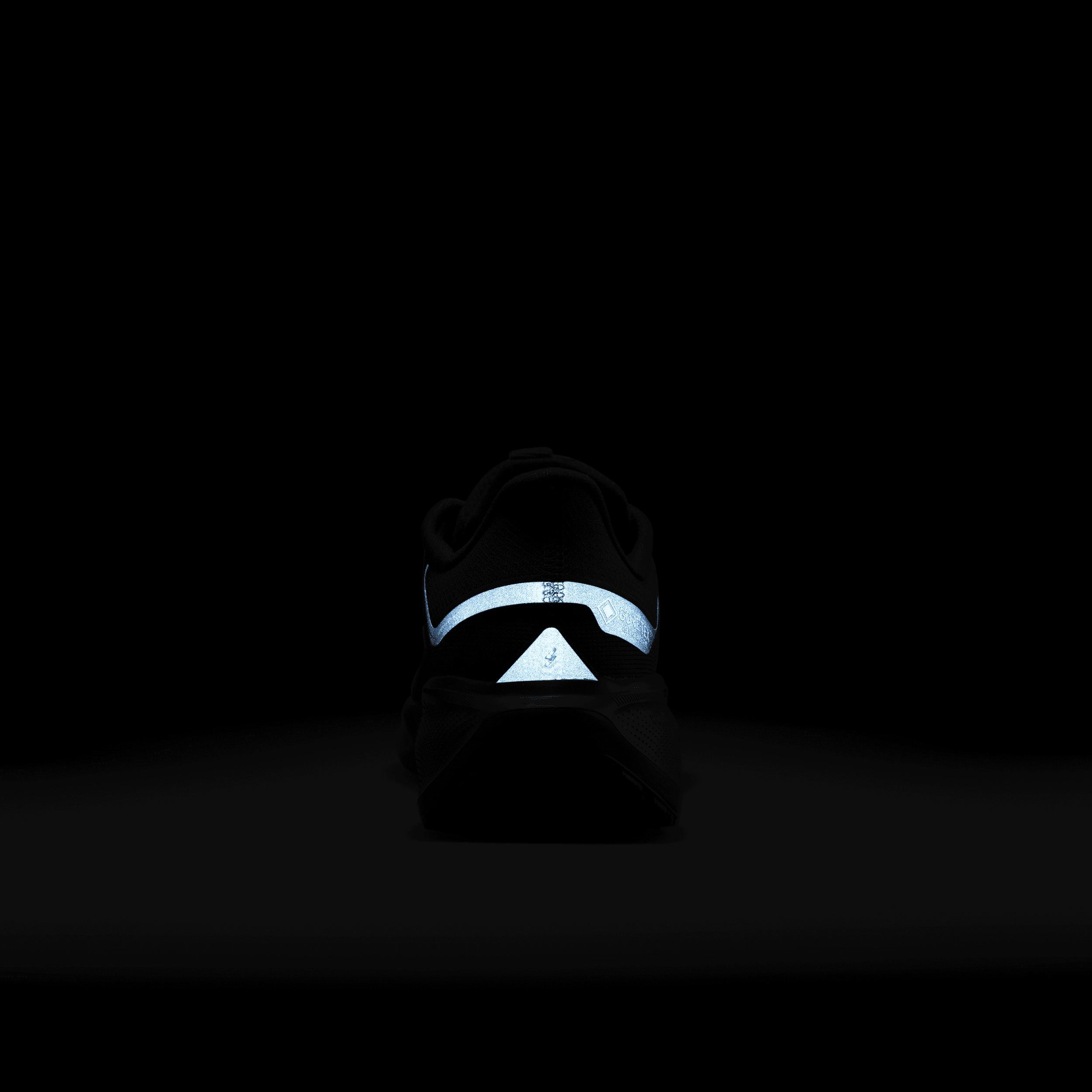 Nike Mens Pegasus 41 GORE-TEX Waterproof Road Running Shoes | FQ1356-001 Product Image