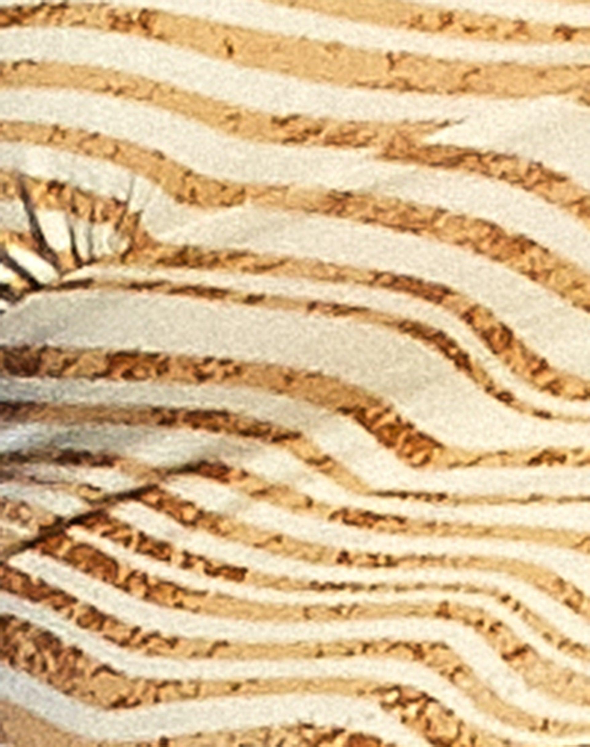 Concesa Cami Top in Desert Terrain Tan Product Image