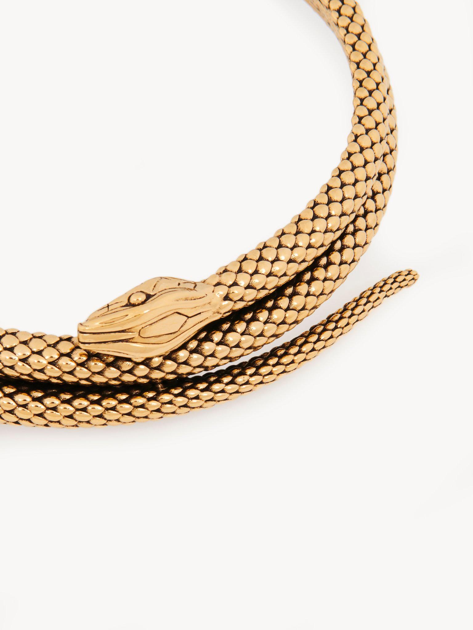 The Chloé Snake necklace Product Image