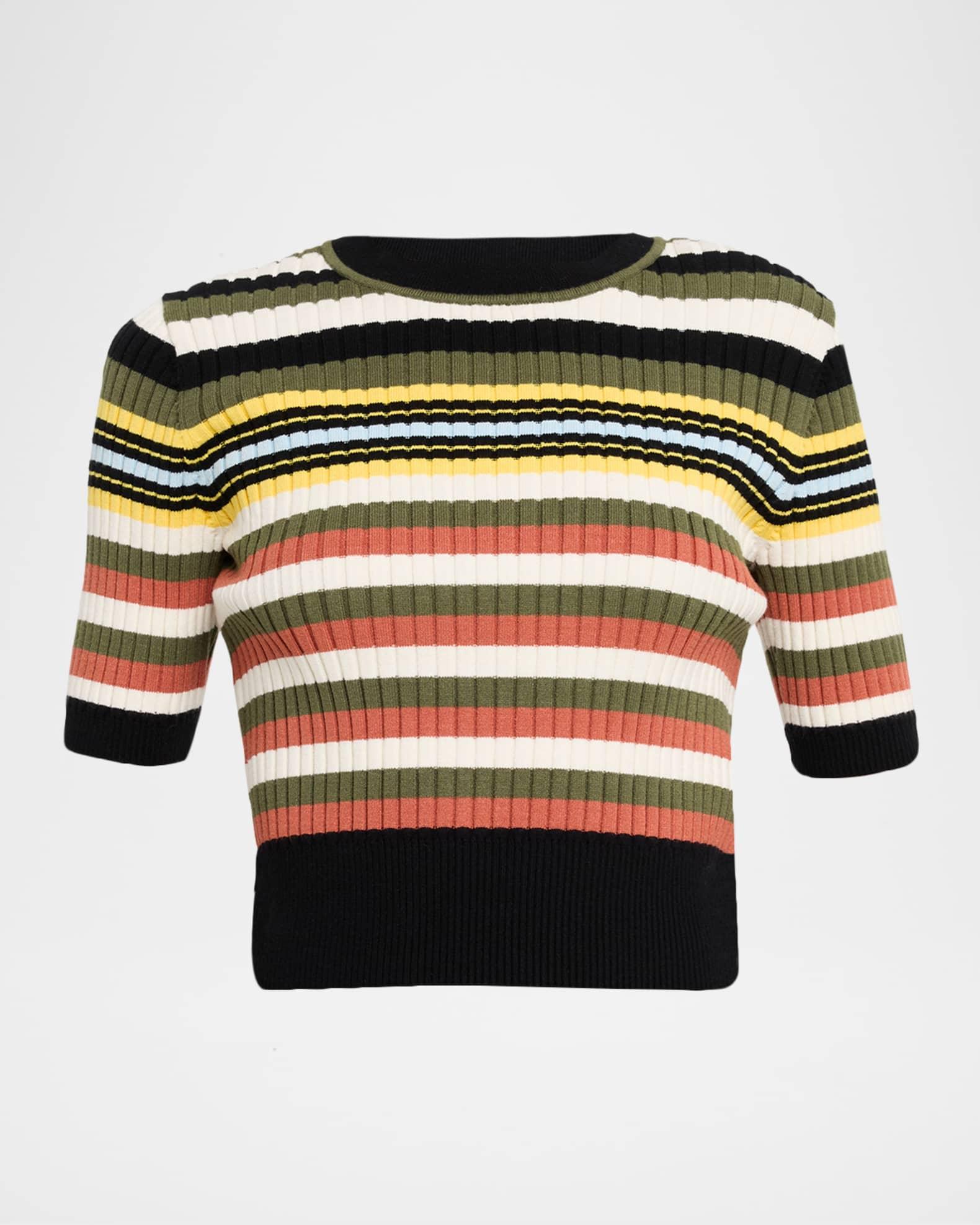 Nyla Striped Short-Sleeve Sweater Product Image
