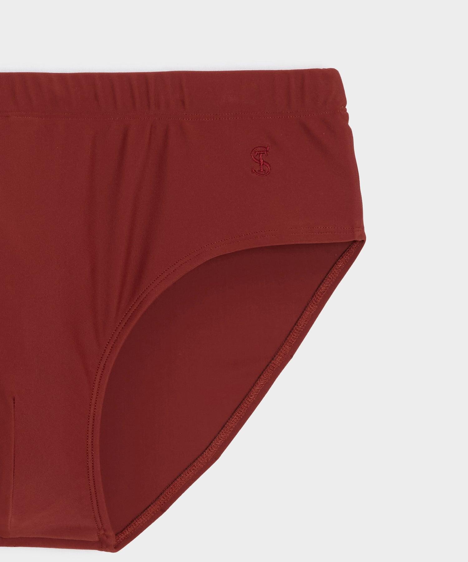 Mykonos Swim Brief Product Image