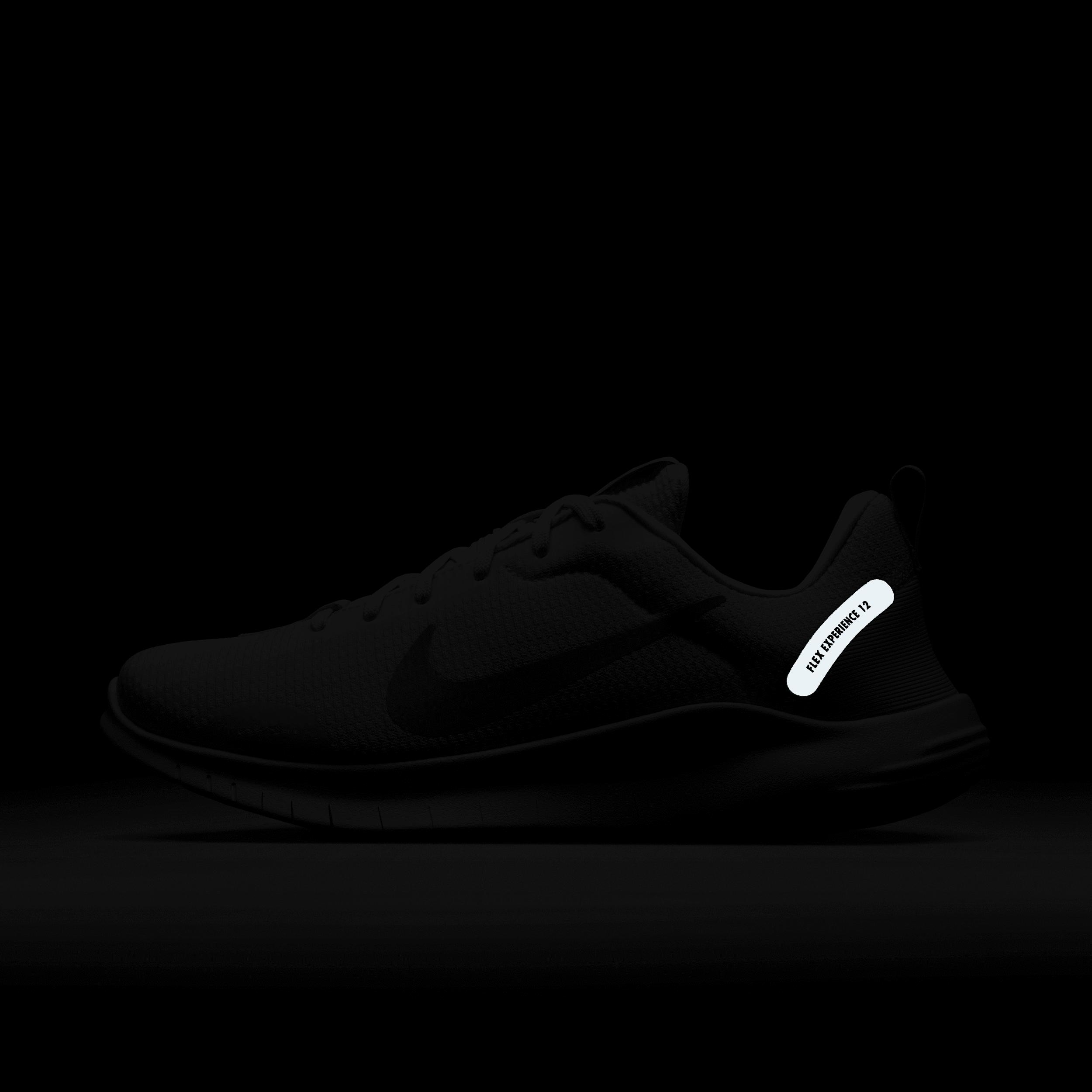 Nike Womens Flex Experience Run 12 Road Running Shoes | DV0746-104 Product Image