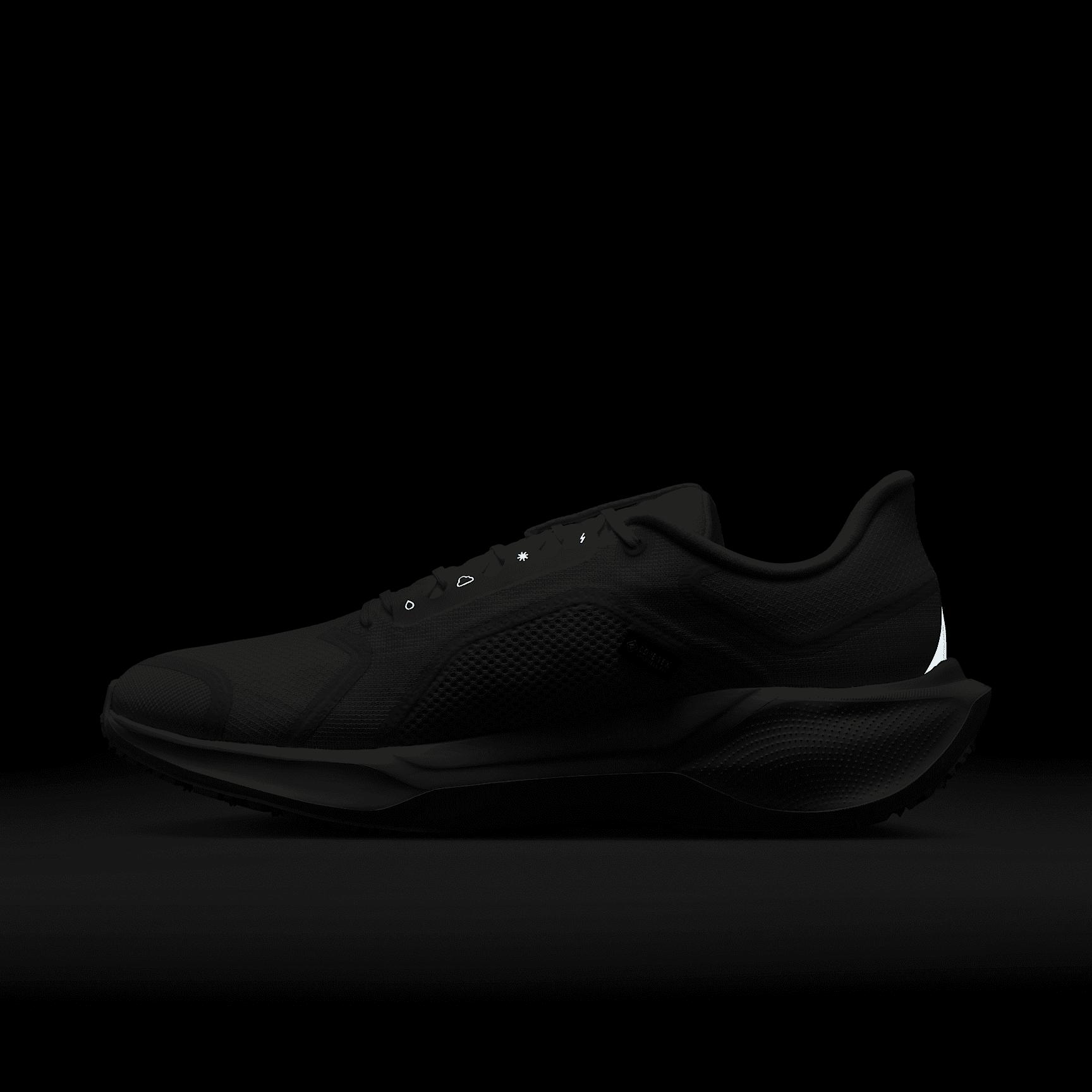 Nike Mens Pegasus 41 GORE-TEX Waterproof Road Running Shoes | FQ1356-101 Product Image