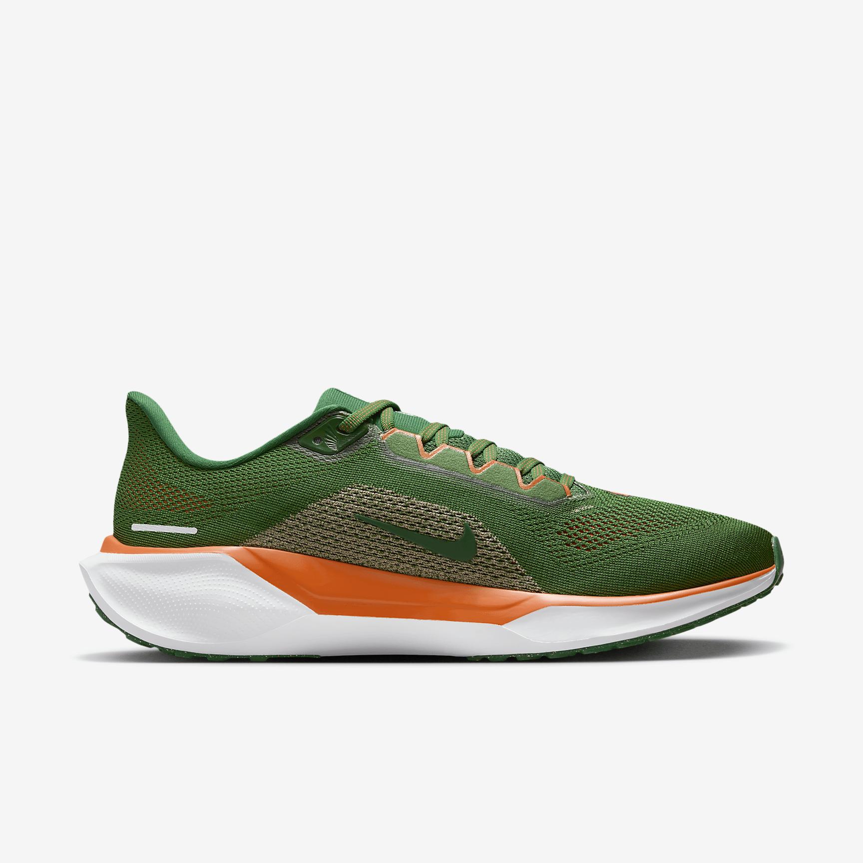 FAMU Pegasus 41 Men's Nike College Road Running Shoes Product Image