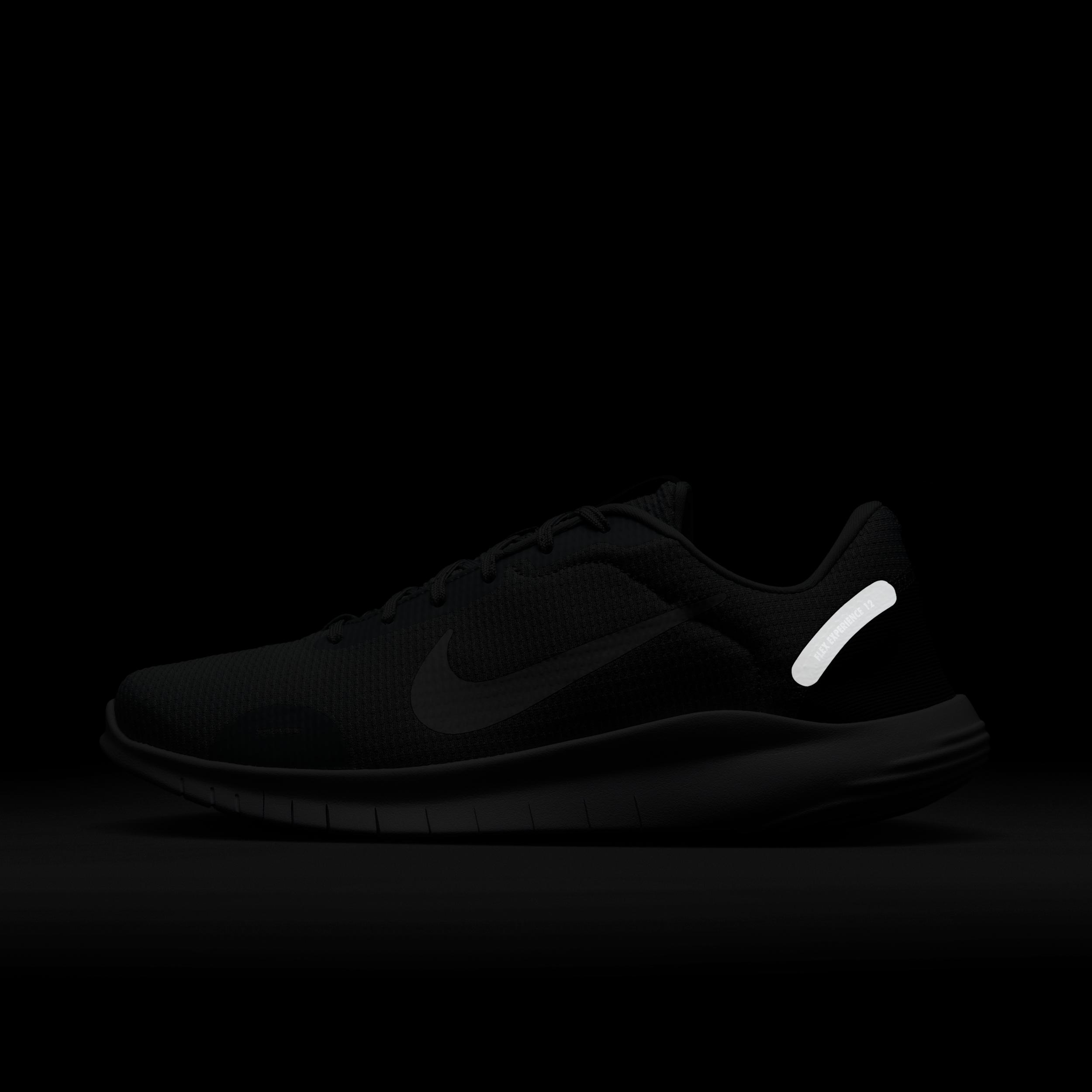 Nike Mens Flex Experience Run 12 Road Running Shoes | DV0740-007 Product Image