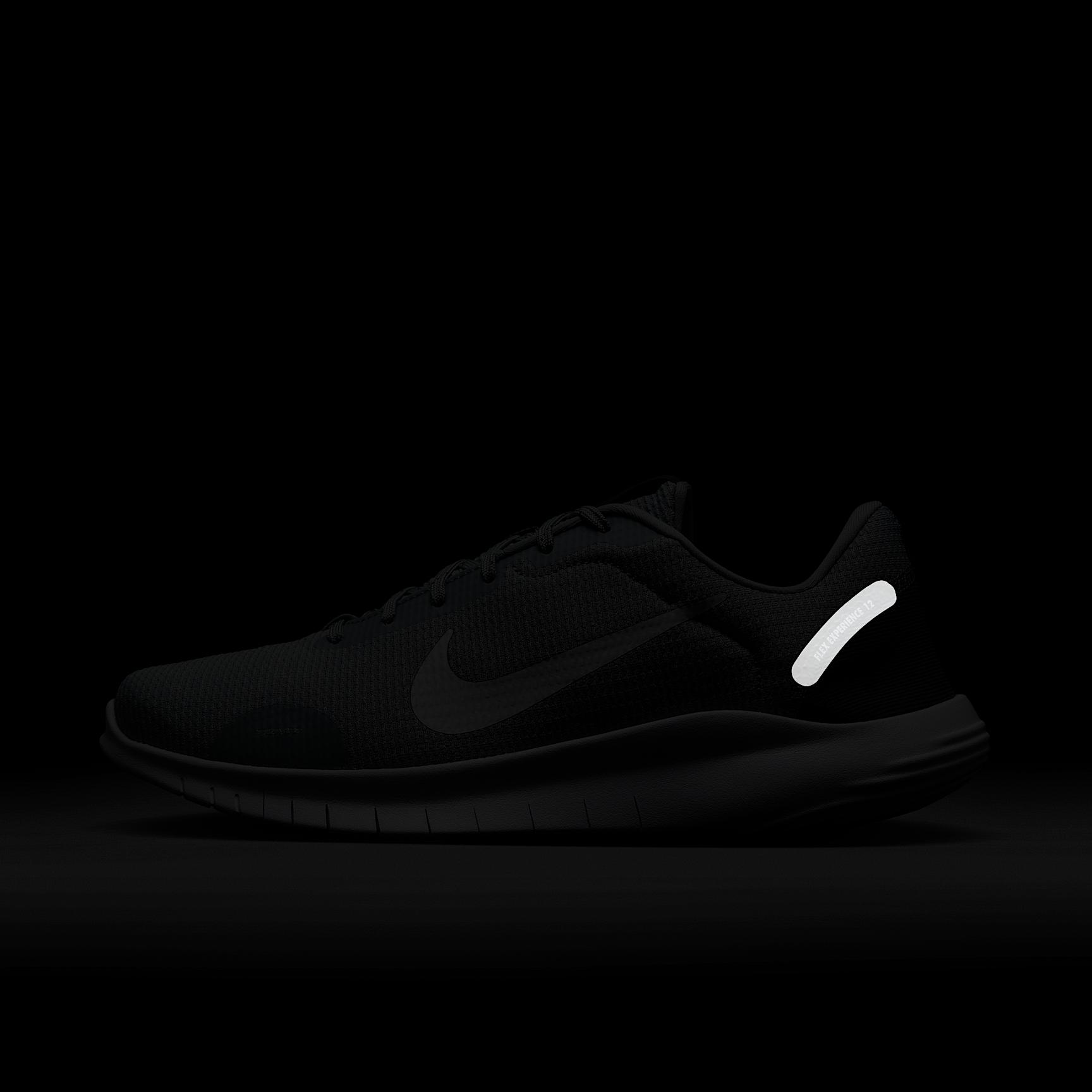 Nike Mens Flex Experience Run 12 Road Running Shoes | DV0740-007 Product Image