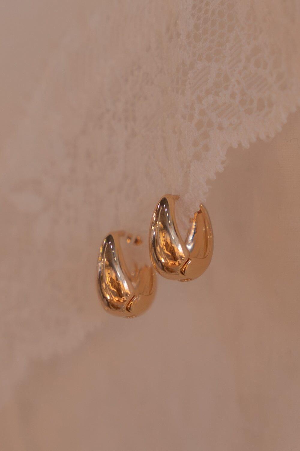 Hoop Earrings Product Image