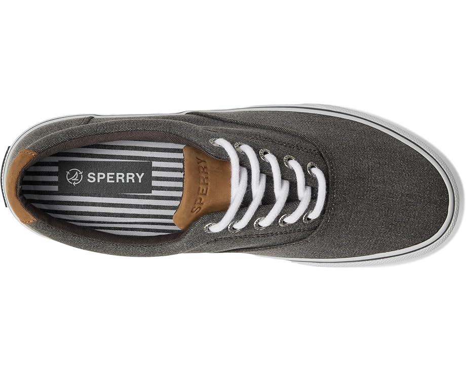 CVO Canvas Product Image