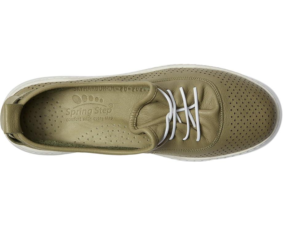 Picasa Product Image