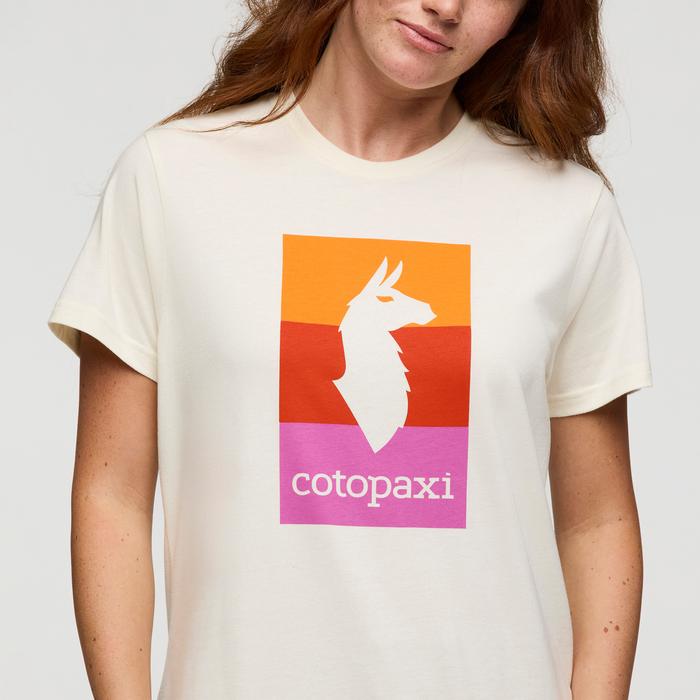 Llama Block T-Shirt - Women's Product Image