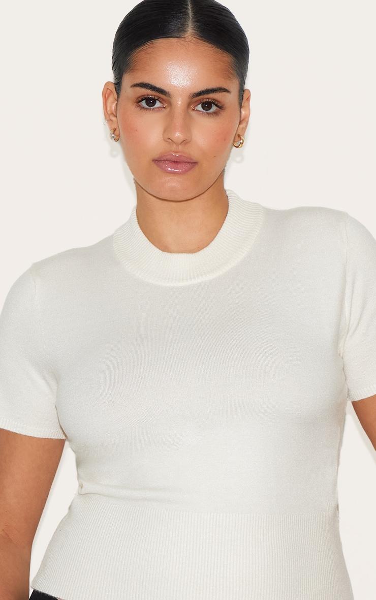 Plus Cream Basic Knit T Shirt Product Image
