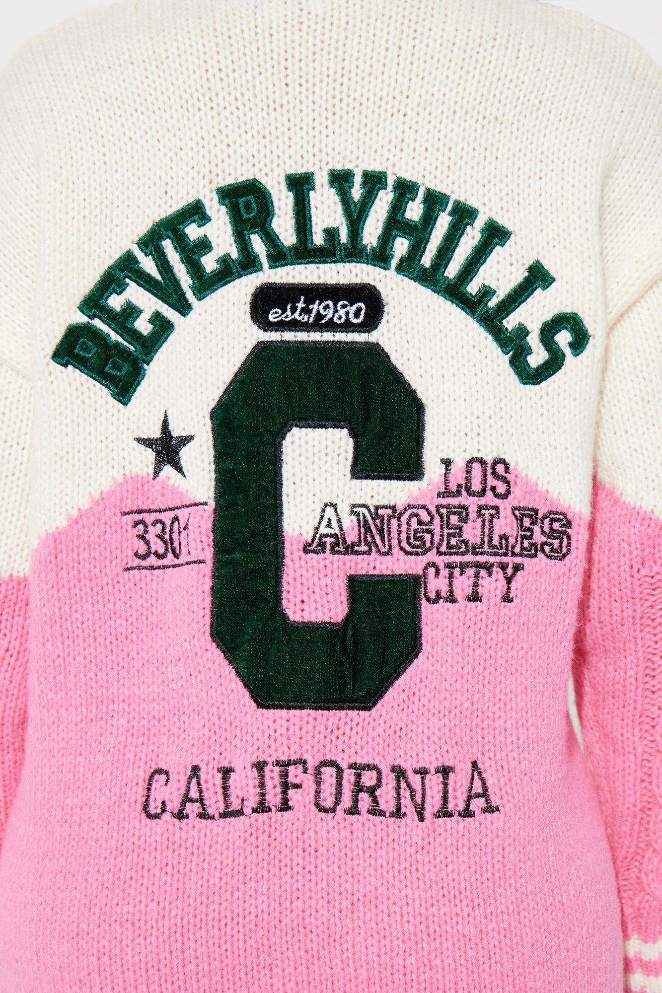 Varsity Sweatshirt Mini Dress - Pink Product Image