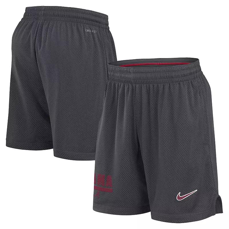 Men's Nike Anthracite Florida State Seminoles 2024 Sideline Mesh Shorts, Size: Medium, Grey Product Image