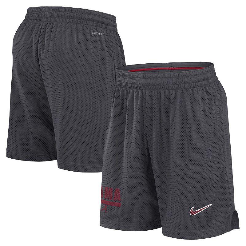 Men's Nike Anthracite Florida State Seminoles 2024 Sideline Mesh Shorts, Size: Medium, Grey Product Image