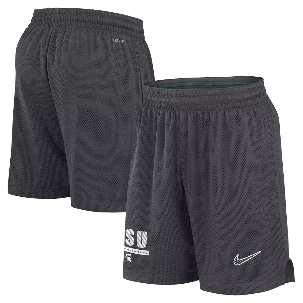 Men's Nike Anthracite Michigan State Spartans 2024 Sideline Mesh Shorts,  Product Image