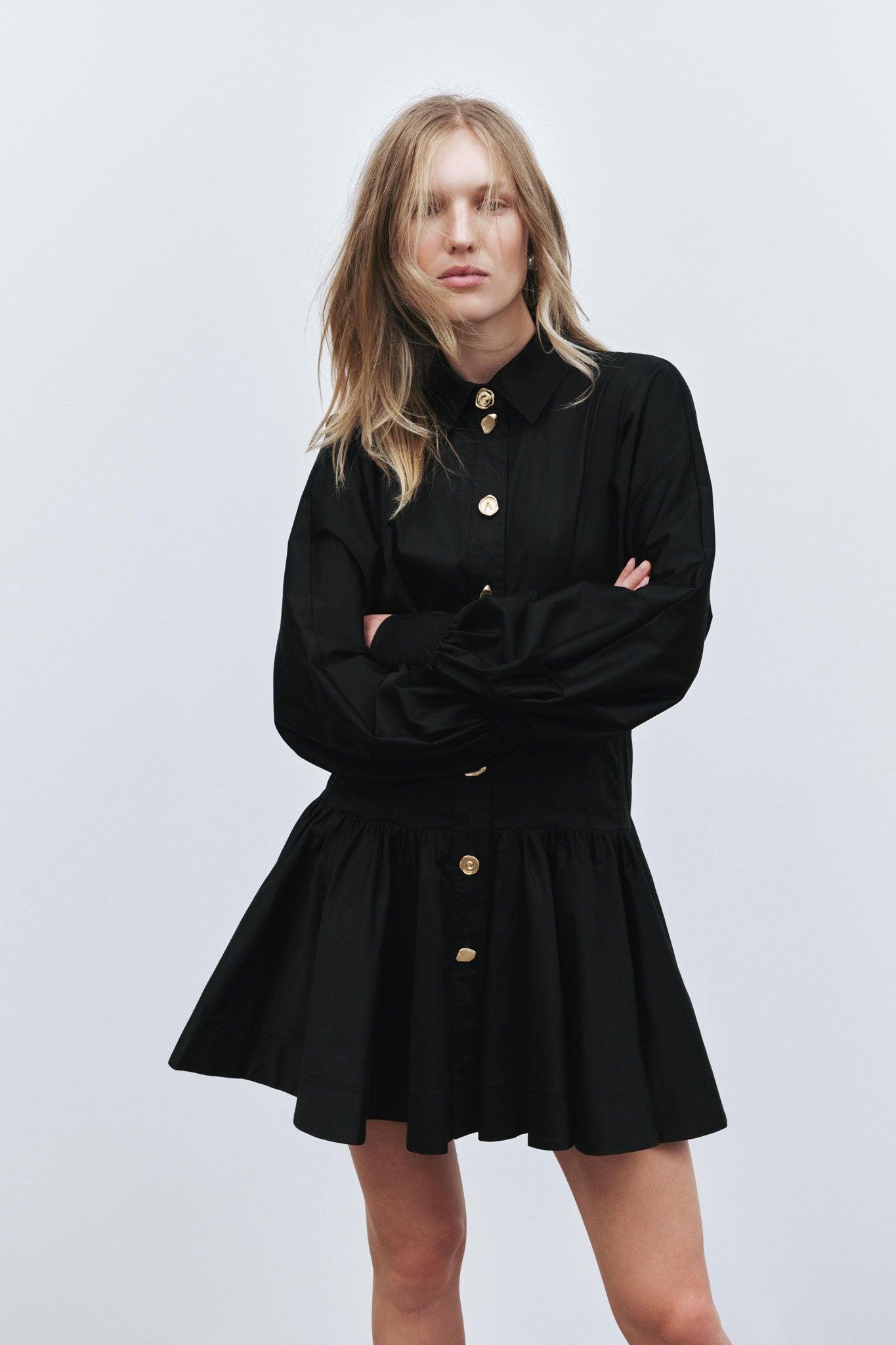 Alexa Long Sleeve Mini Dress Product Image