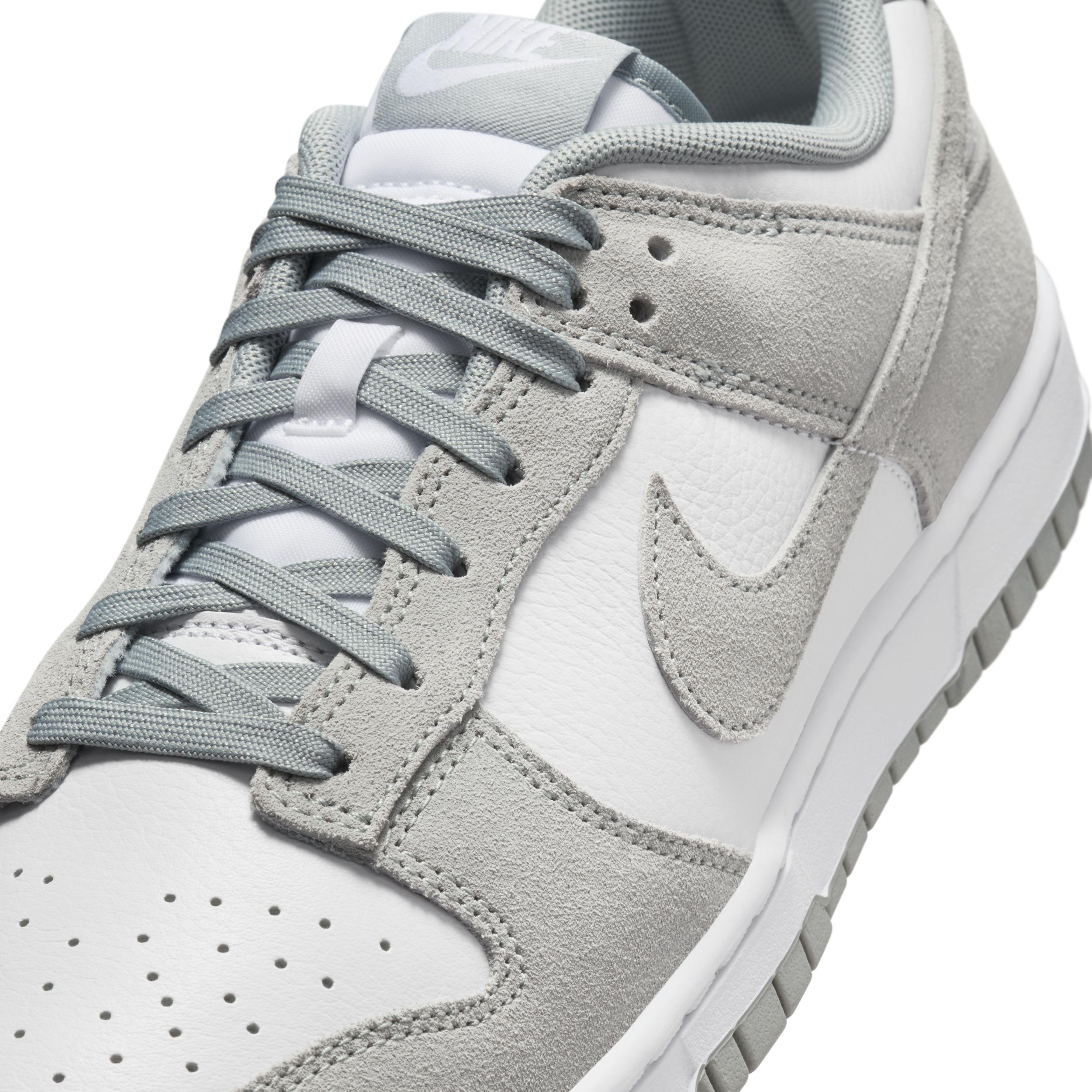 Nike Mens Dunk Low Retro SE Leather/Suede Shoes | FQ8249-101 Product Image